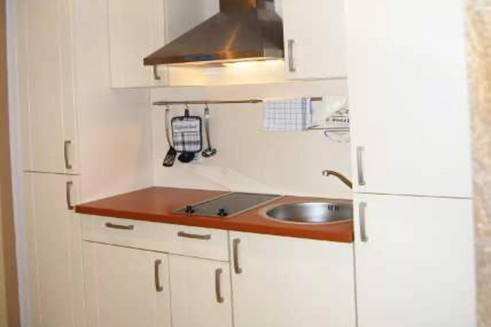 Schneeeule 203-Kitchen