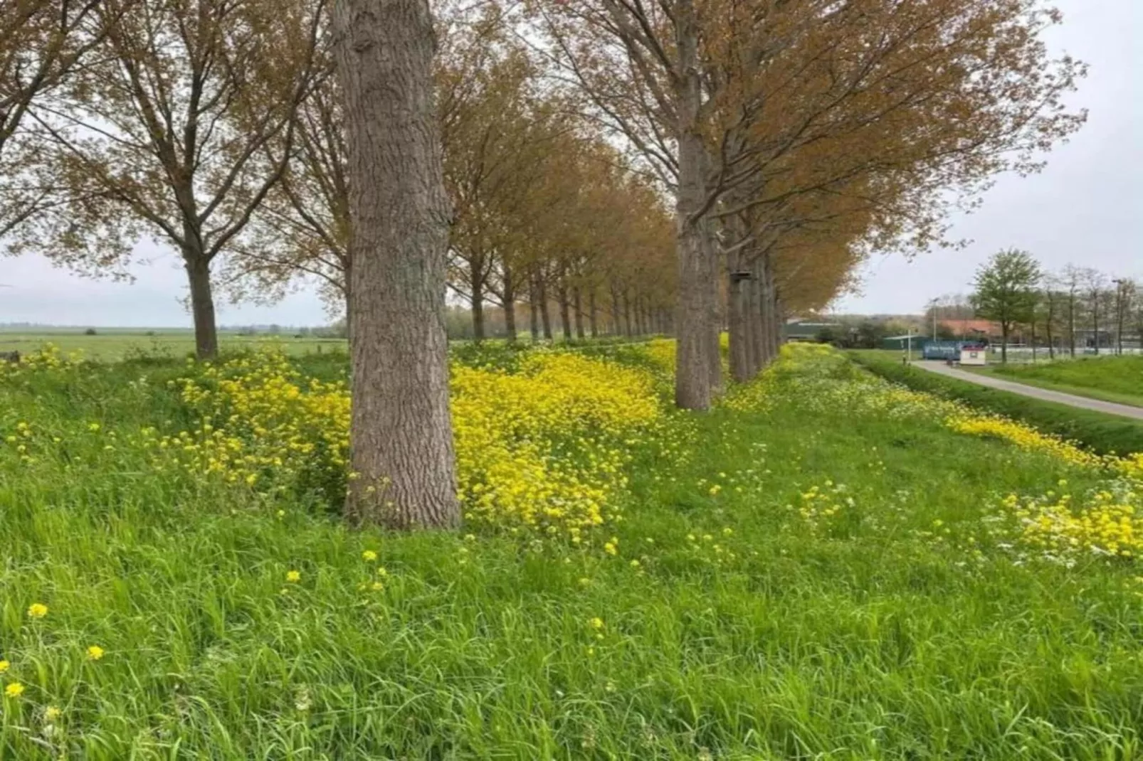 Standaard 308-Gebiete Sommer 20 km