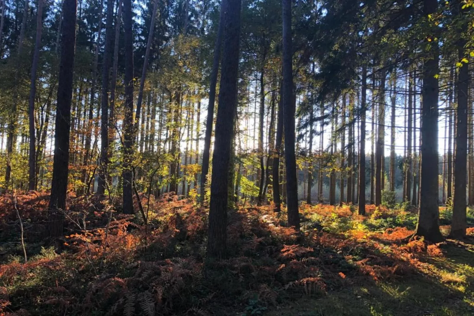 Les Trois Feuilles-Gebiete Sommer 20 km