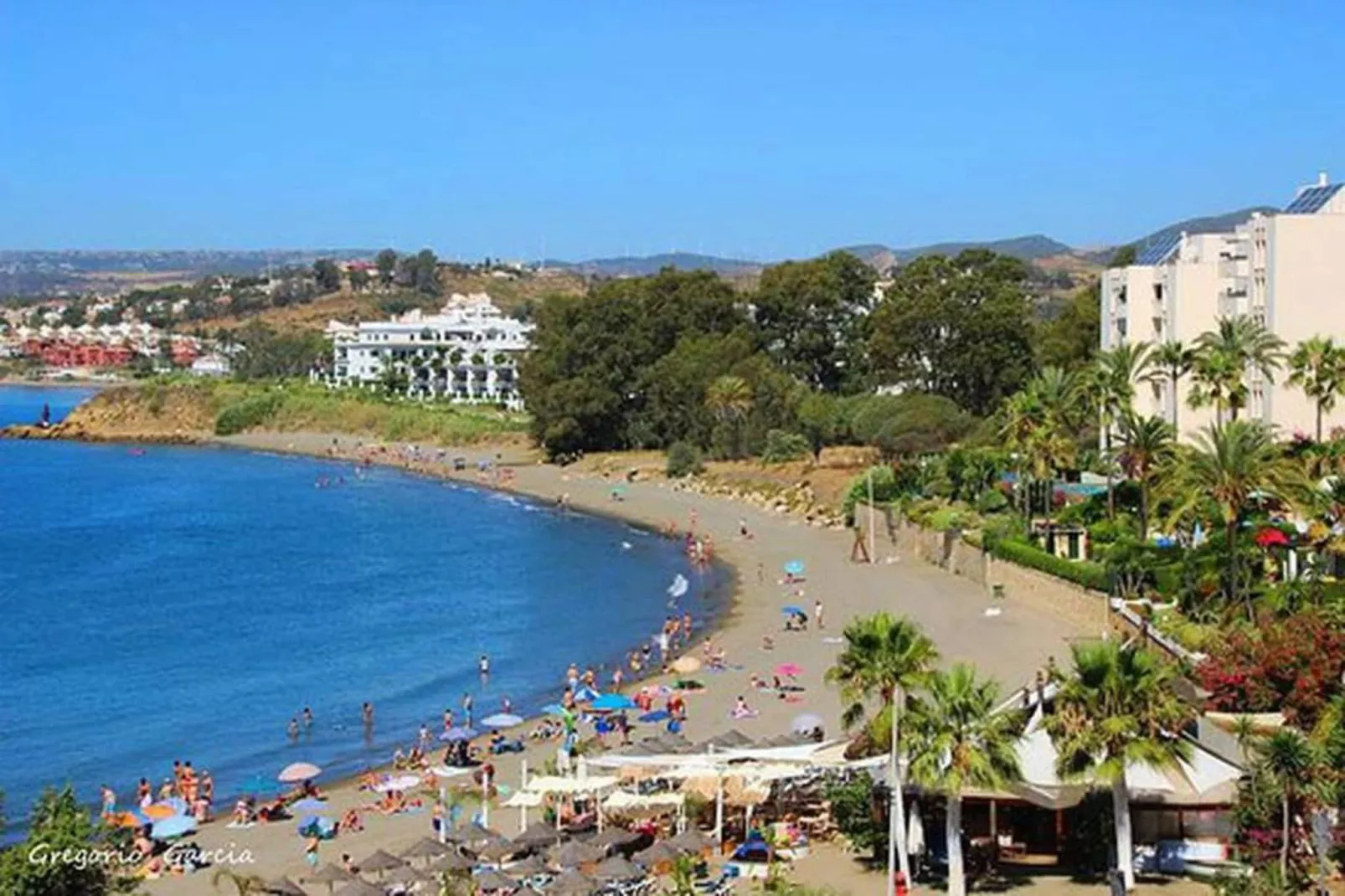 Costalita
