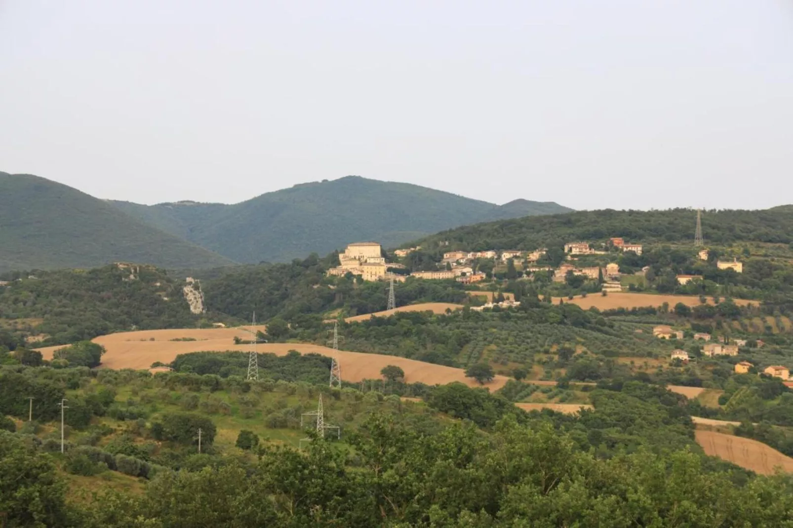 Rose-Areas within 20km in summer