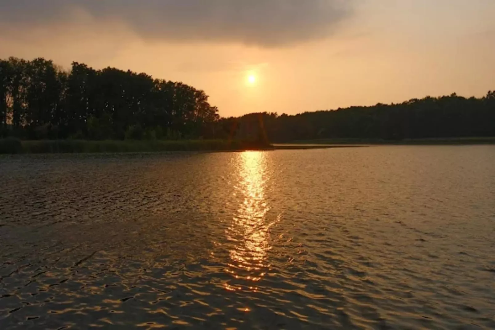 FH Seeschwalbe 221-Areas within 1km in summer
