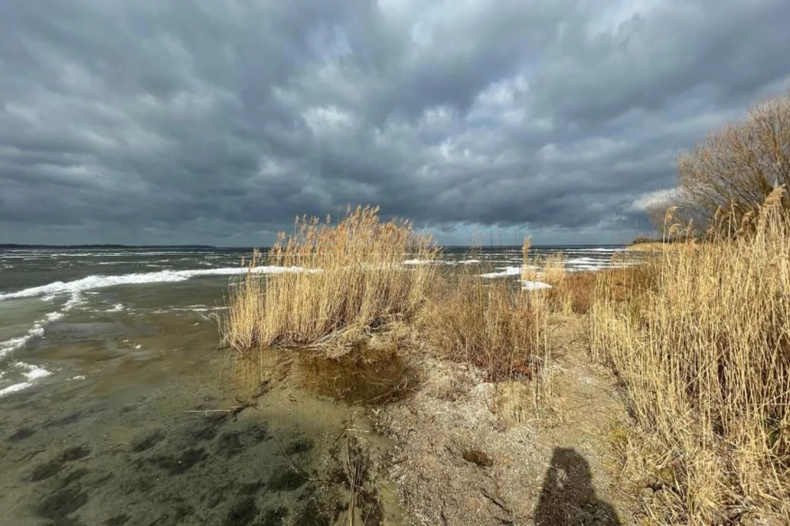 Ferienhaus Seeschwalbe-78-Areas within 1km in summer