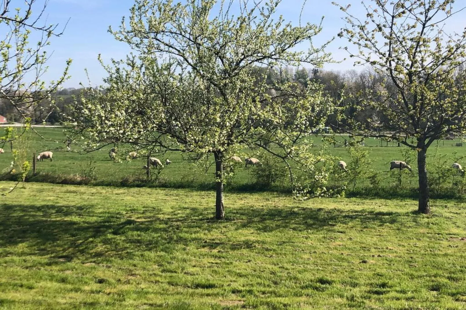 Stardust 40 Family Lodge-Gebiete Sommer 20 km