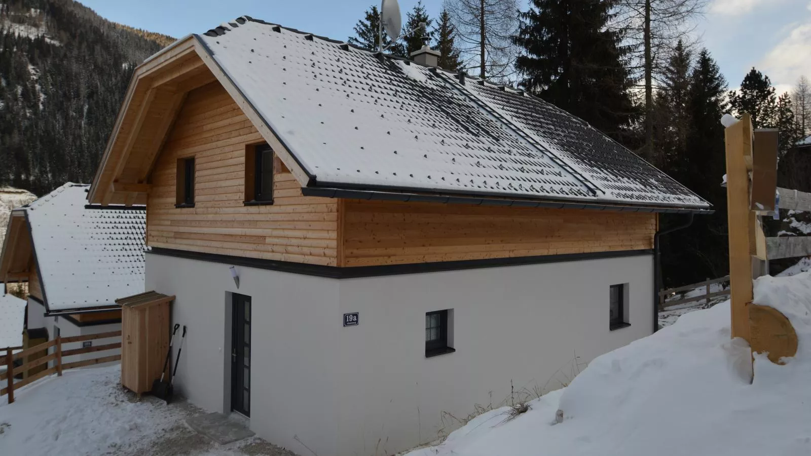 Ahorn-Außenbereich Winter