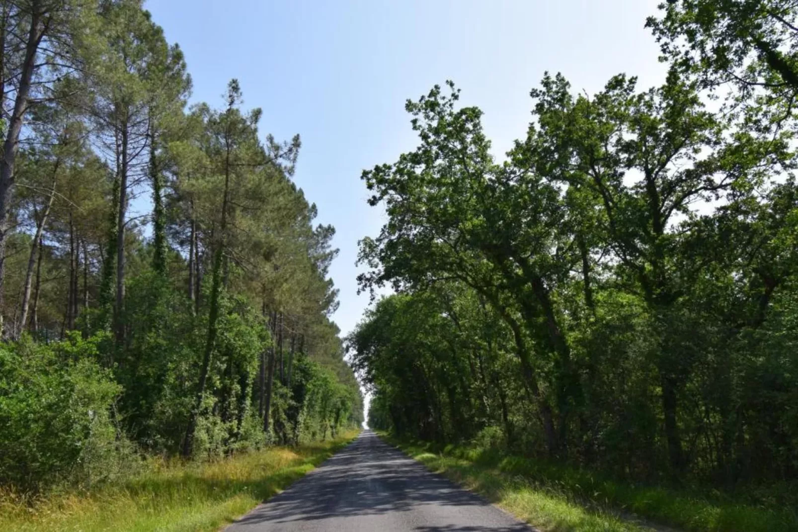 Ecolodge en Sequoia-Gebiete Sommer 20 km