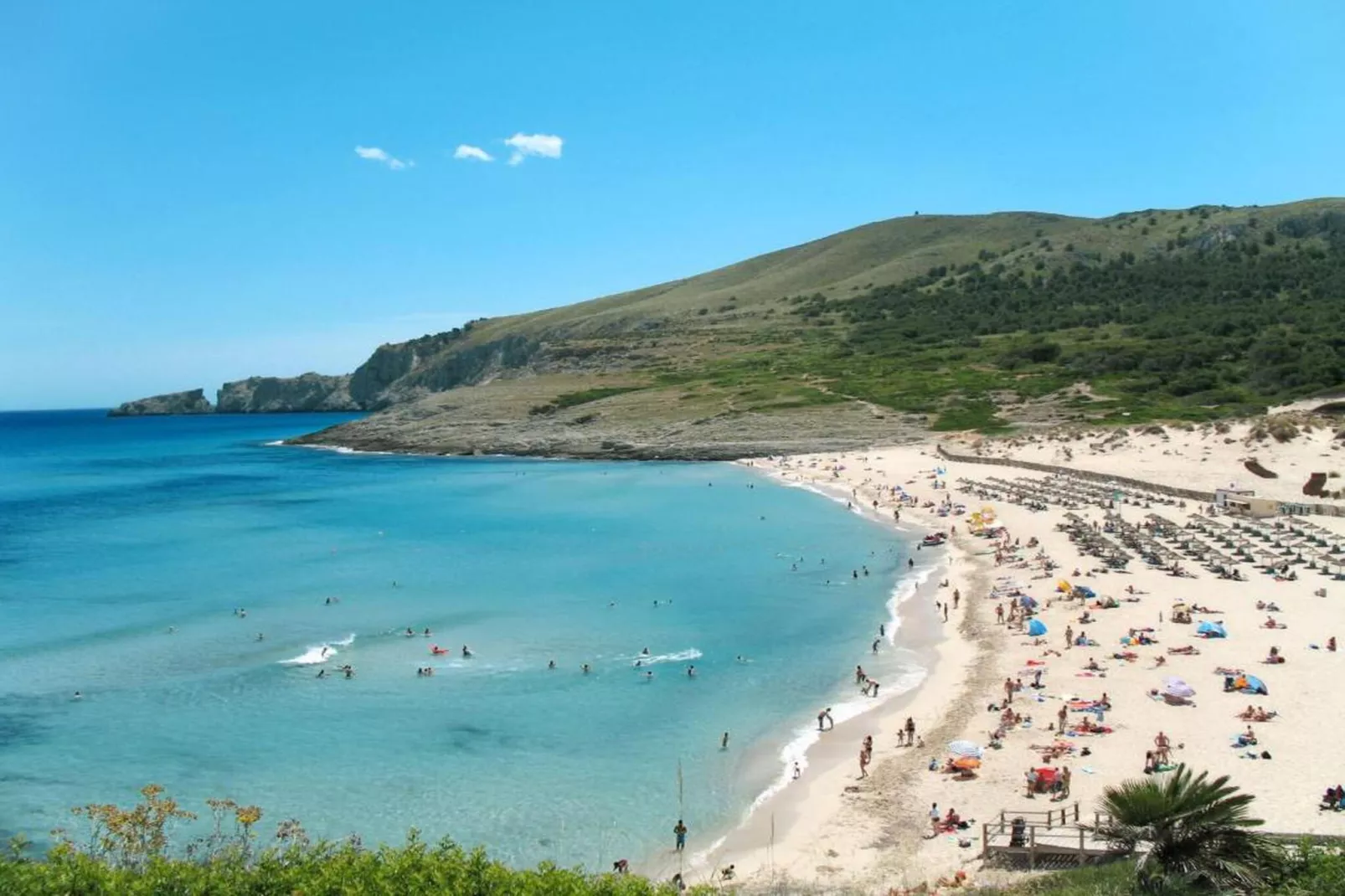 Can Petit-Areas within 20km in summer