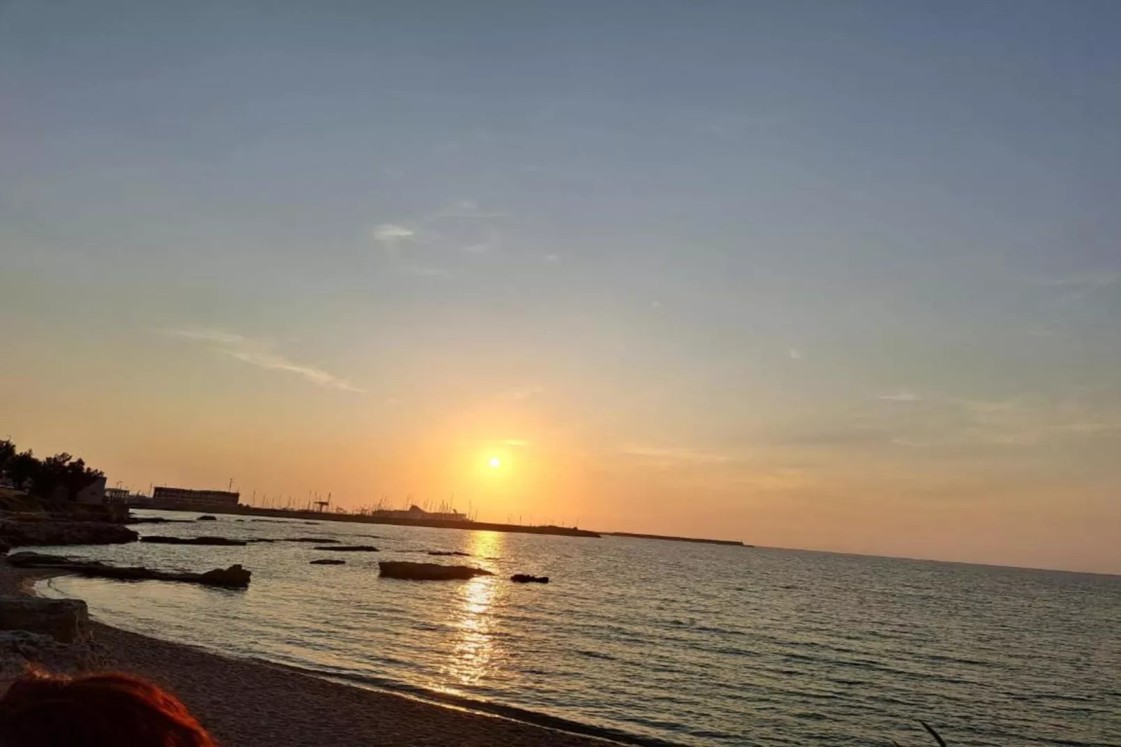 IL DELFINO-Areas within 20km in summer