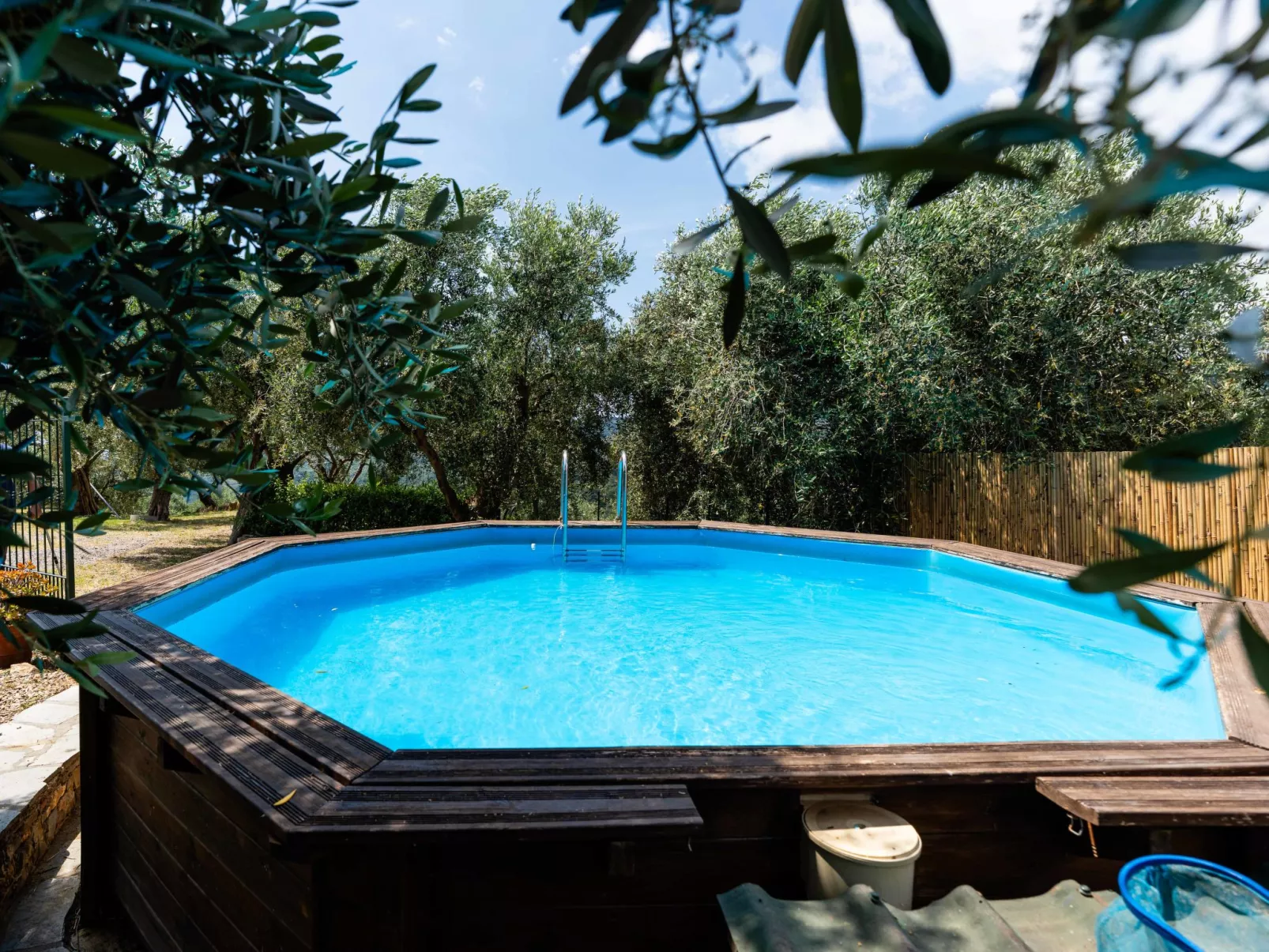 Olive Lodge