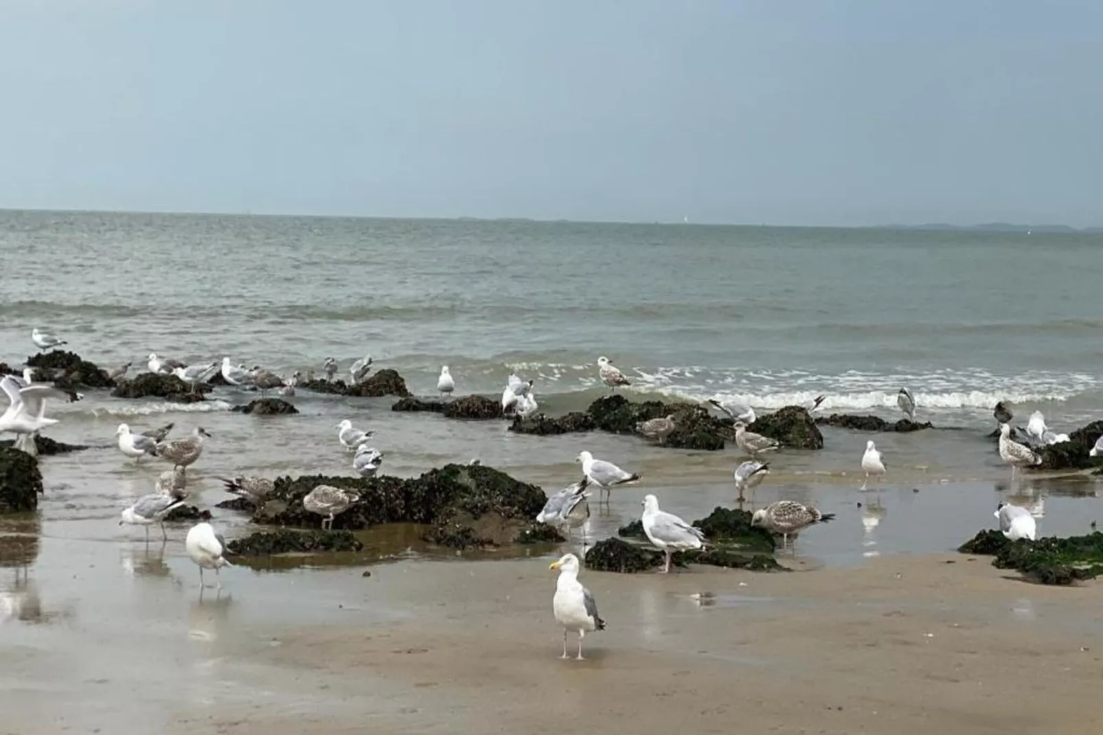 Residentie Sun Beach-2-Gebiete Sommer 1 km