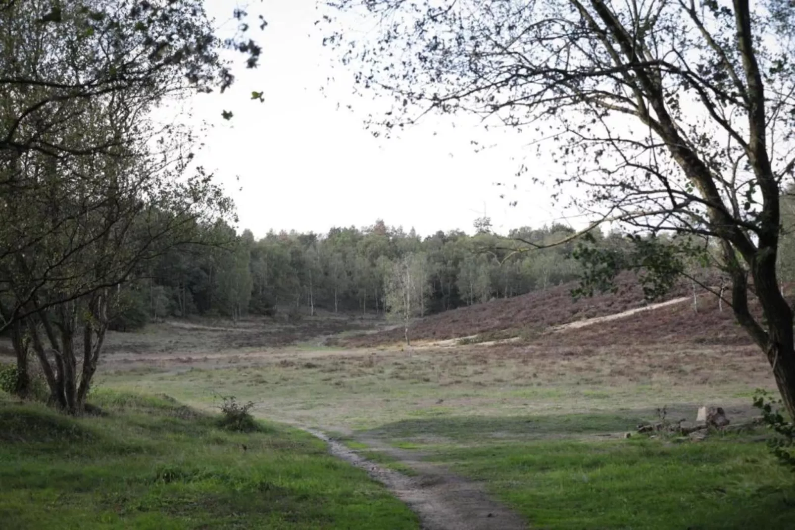 Vlindervallei Boshuis 16p-Areas within 5km in summer