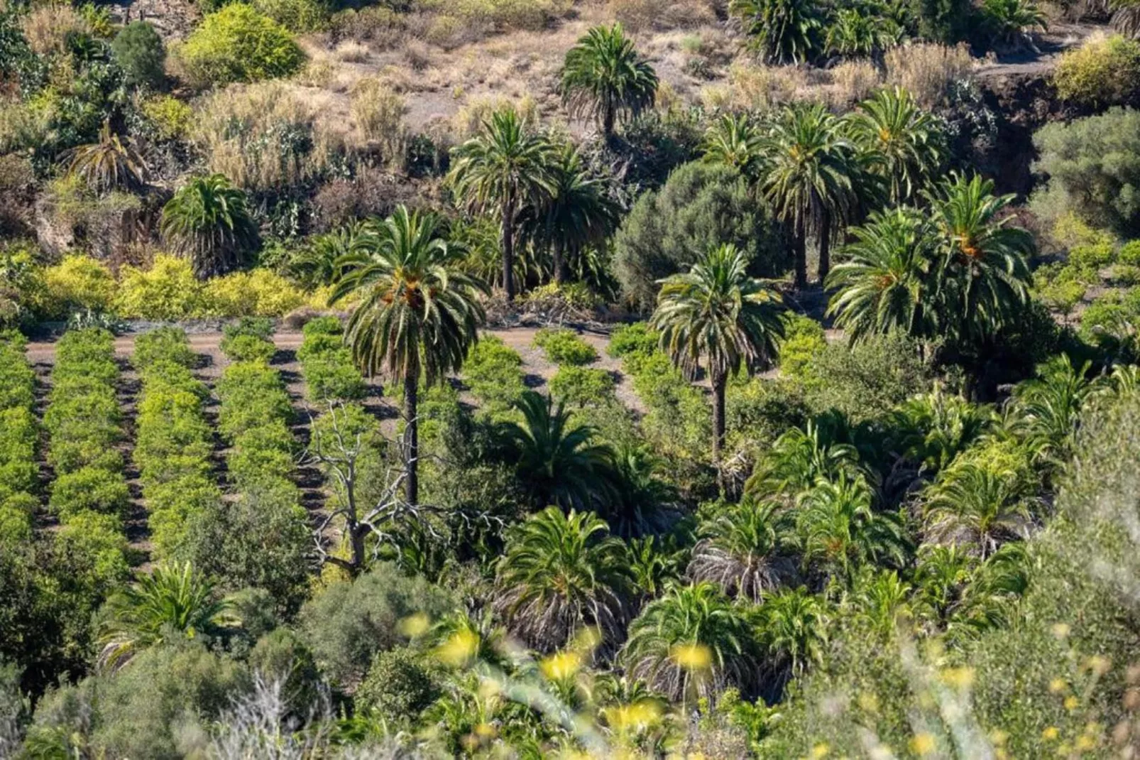 BARBADOS-Zones été à 20 km