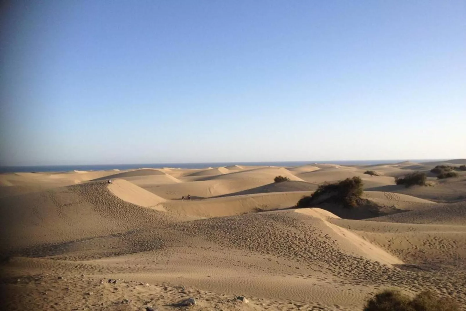 DUPLEXMELONERAS69-Areas within 20km in summer