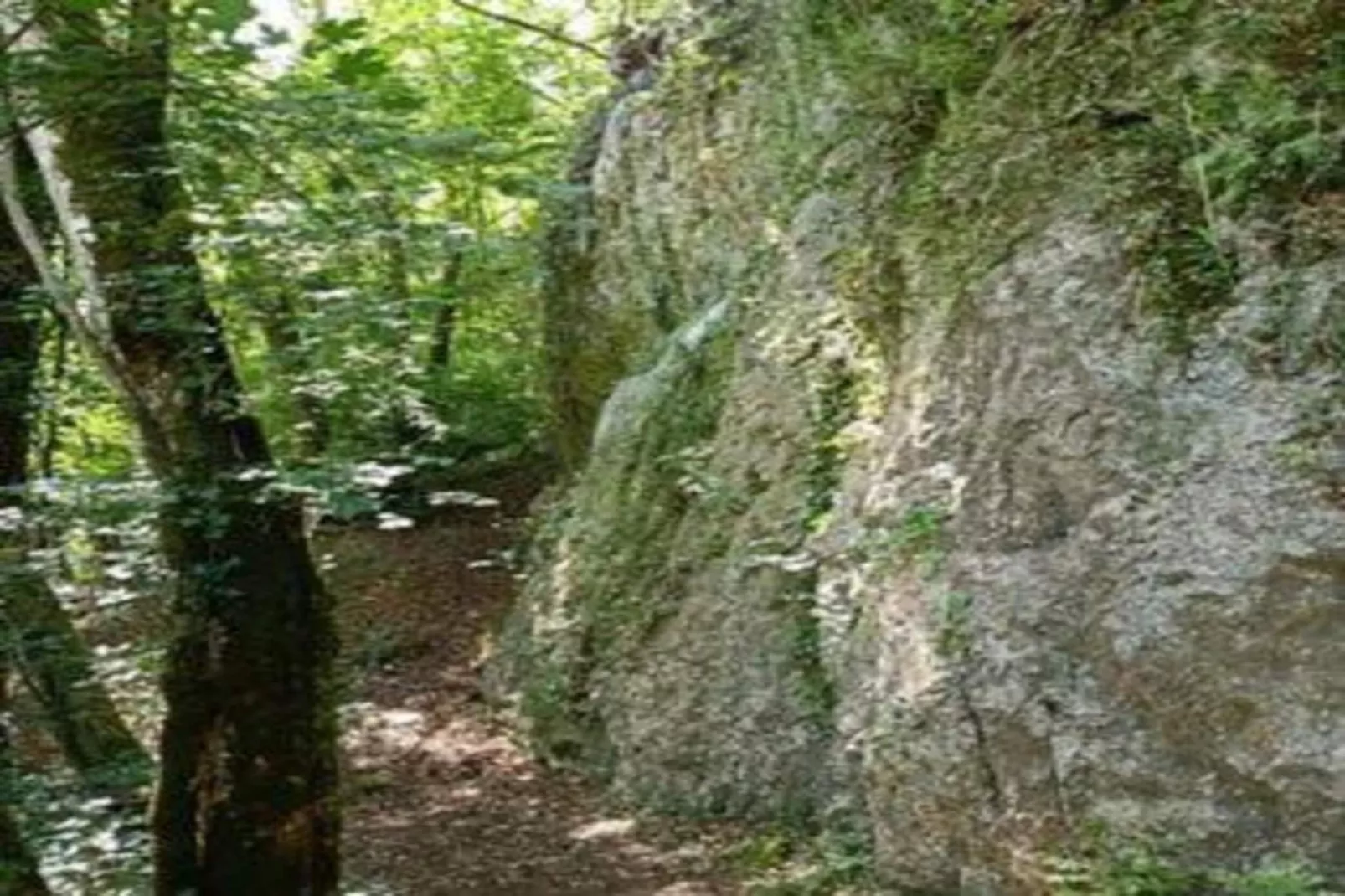 Verblijfpark Ardinam 3-Gebiete Sommer 20 km