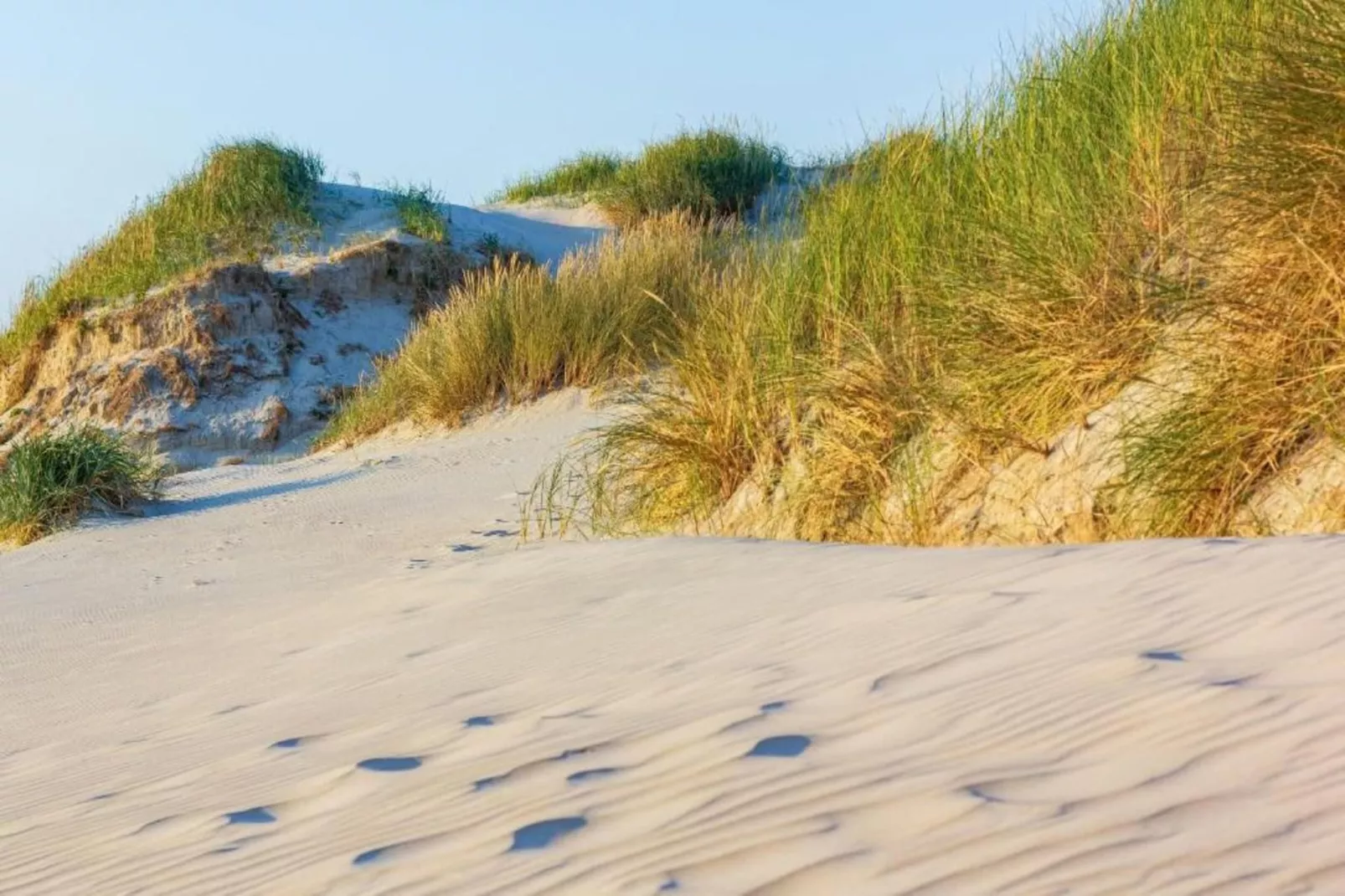 Belkmerduinen 31