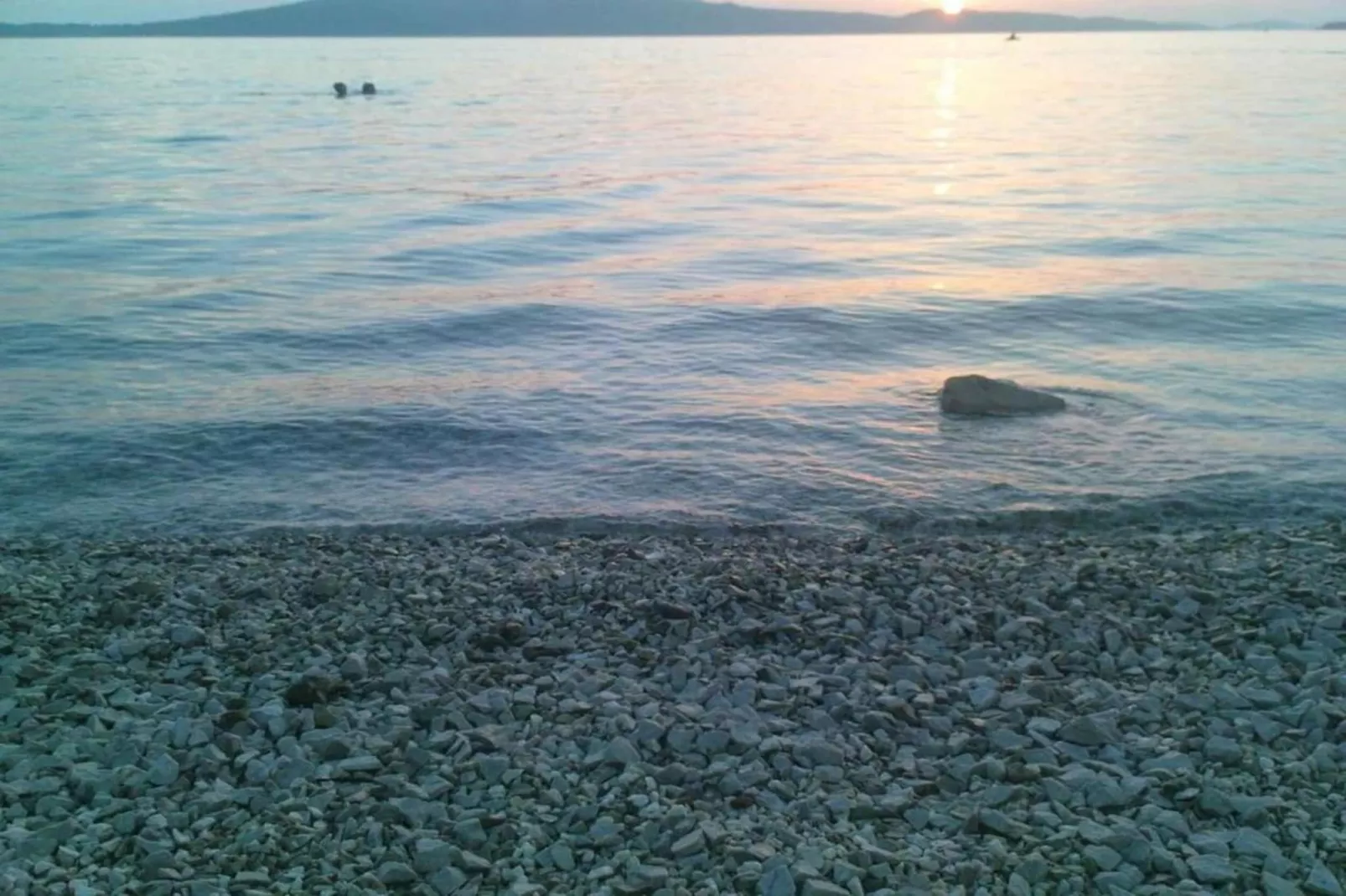 Apartments Gaj Brodarica - A7-Areas within 1km in summer