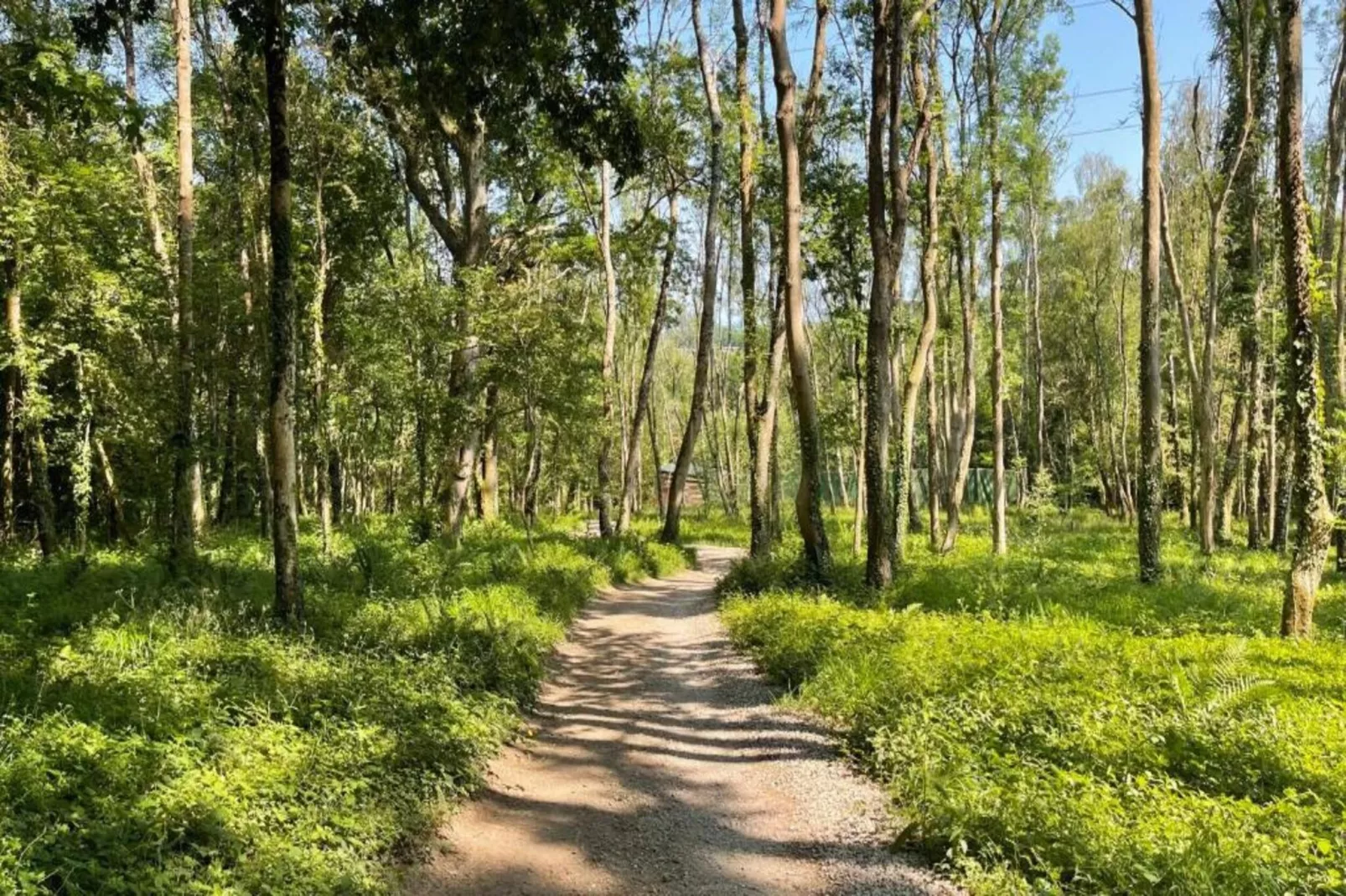 Knole Luxury Dome-Gebiete Sommer 5 km