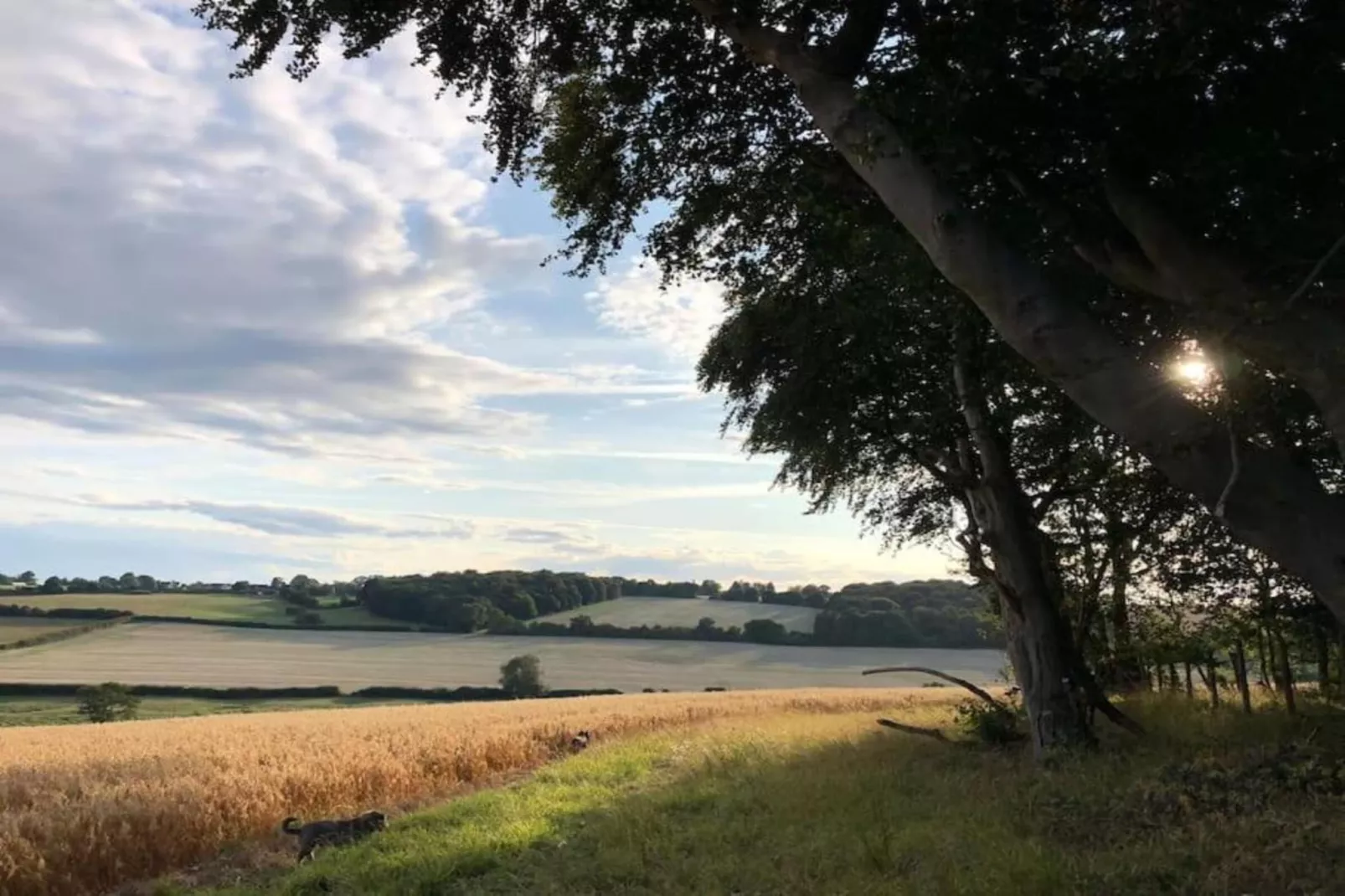 The Highland Camping Pod-Gebiete Sommer 20 km