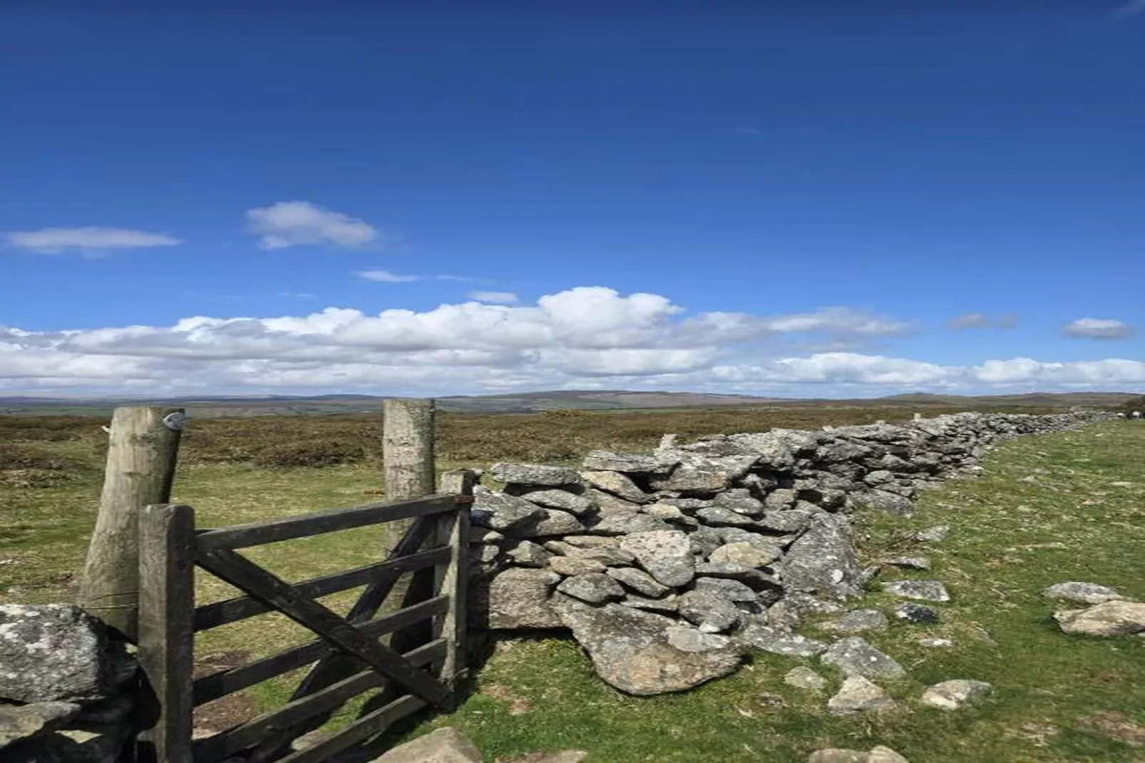 Little Dunley - Hazel-Gebiete Sommer 20 km