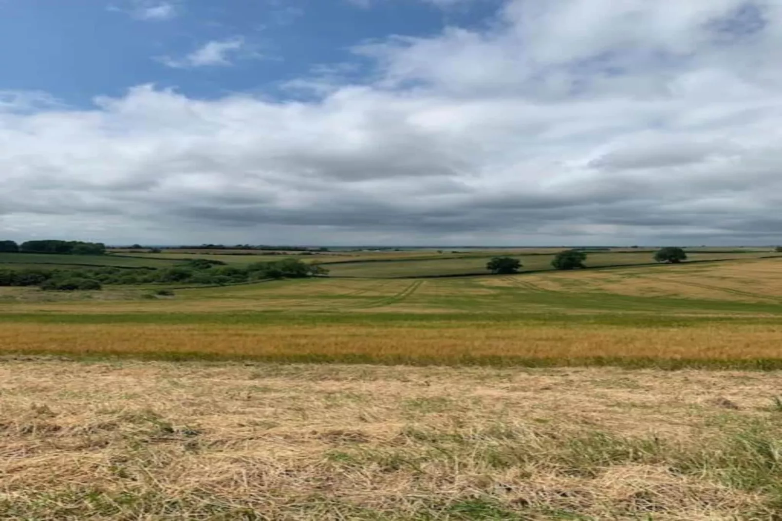Longwool View-Gebiete Sommer 20 km