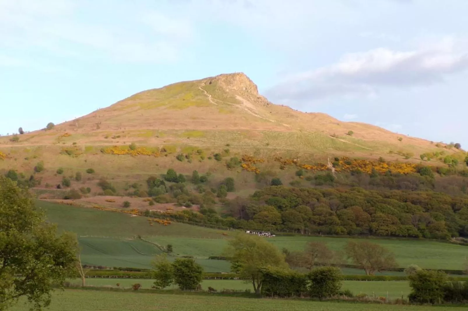 Ingleby Manor - South Front-Gebiete Sommer 20 km