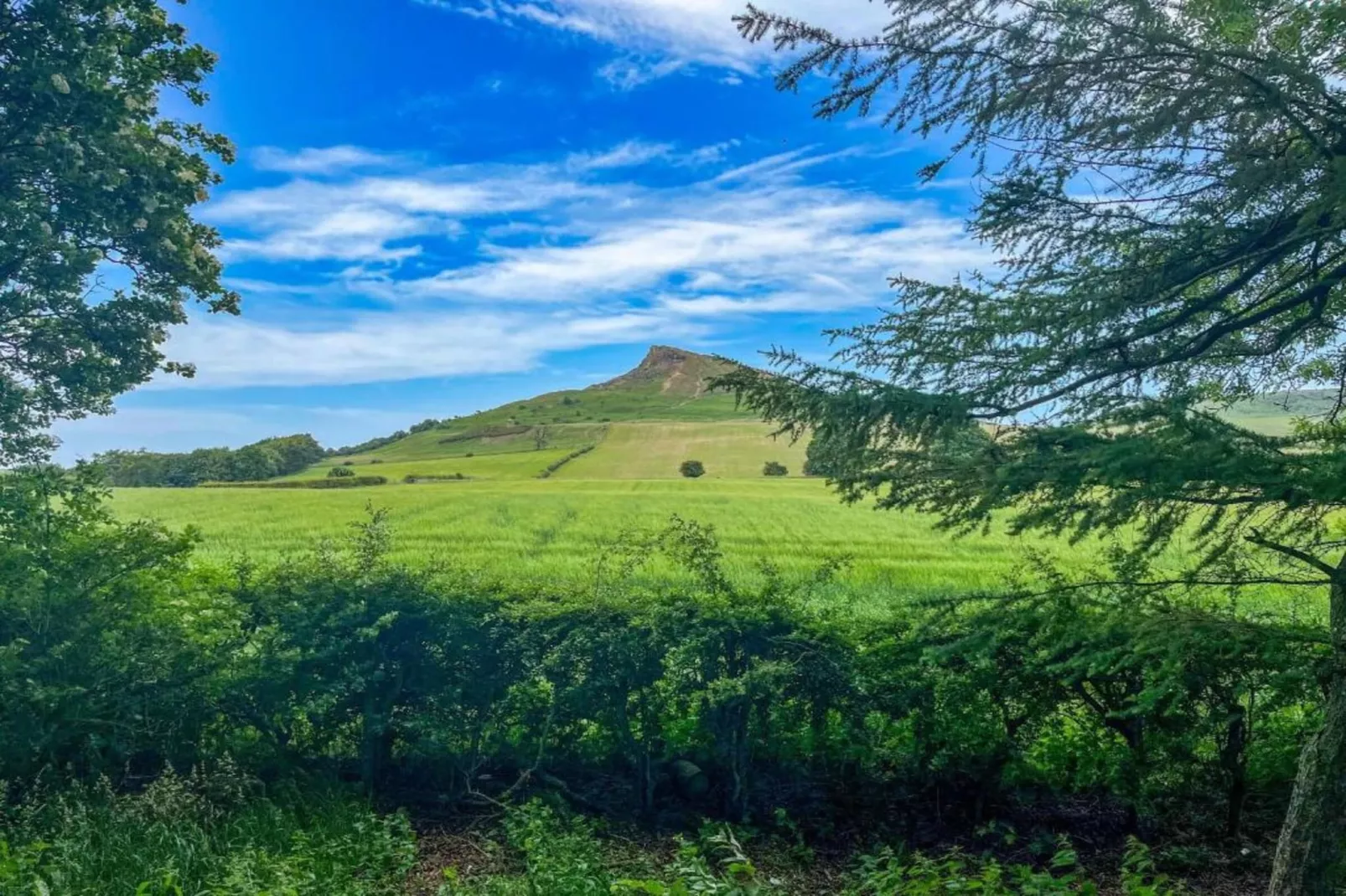 Ingleby Manor - Manor Cottage-Gebiete Sommer 20 km