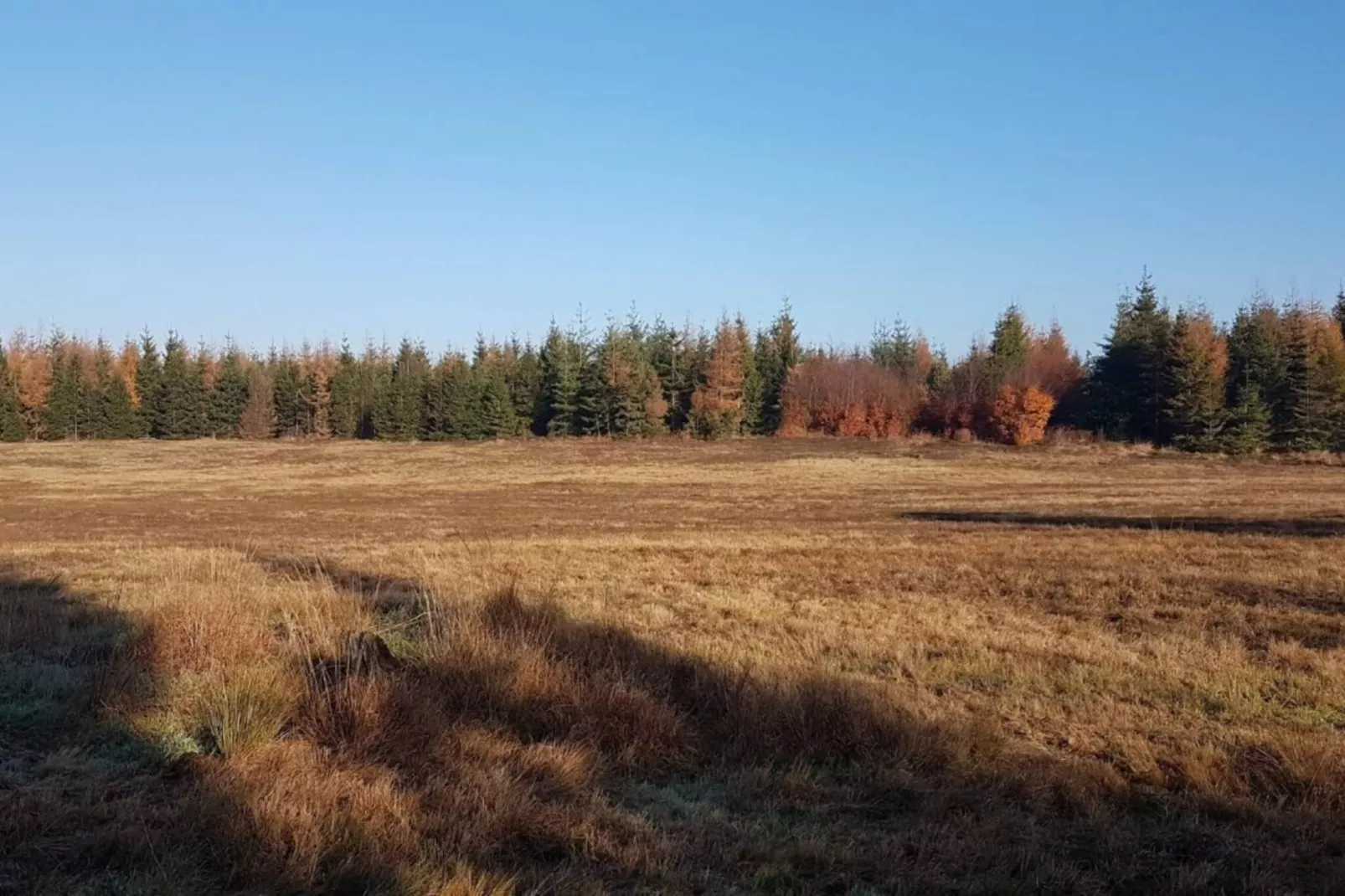 Maison de vacances pour 6 a Grenaa