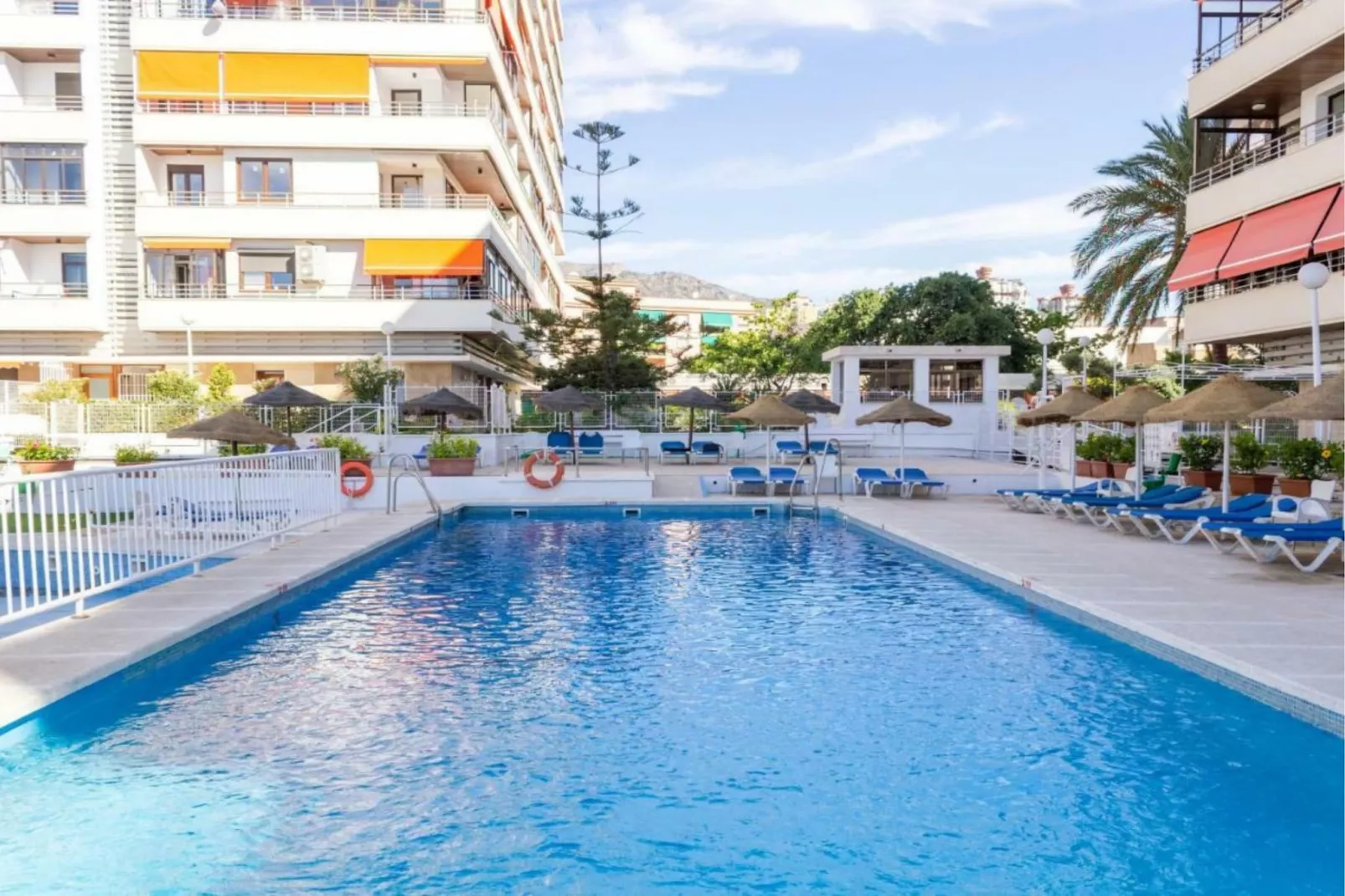 503 Nogalera