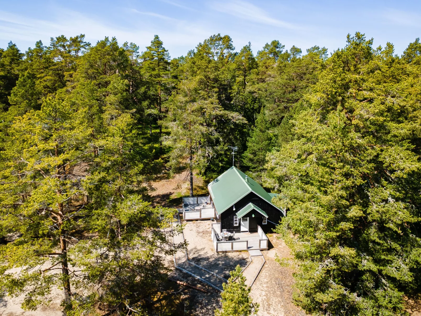 Hölick Tallen 1