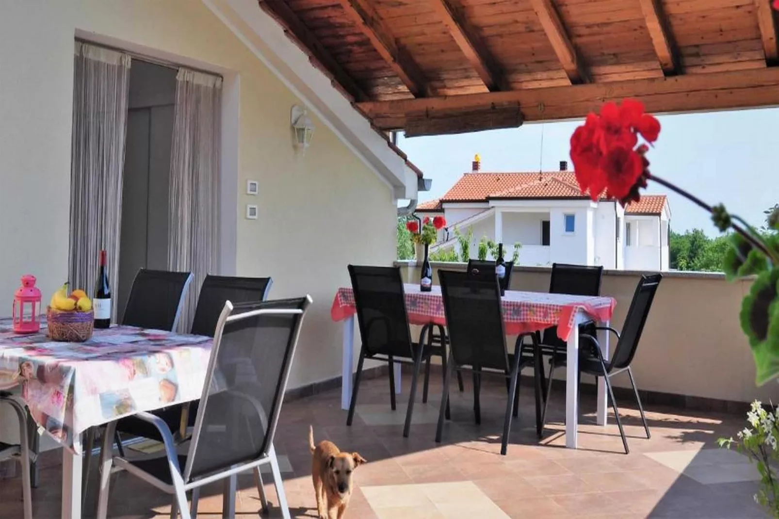 Apartments Belicka - Two Bedroom apartment with Shared Terrace - A1