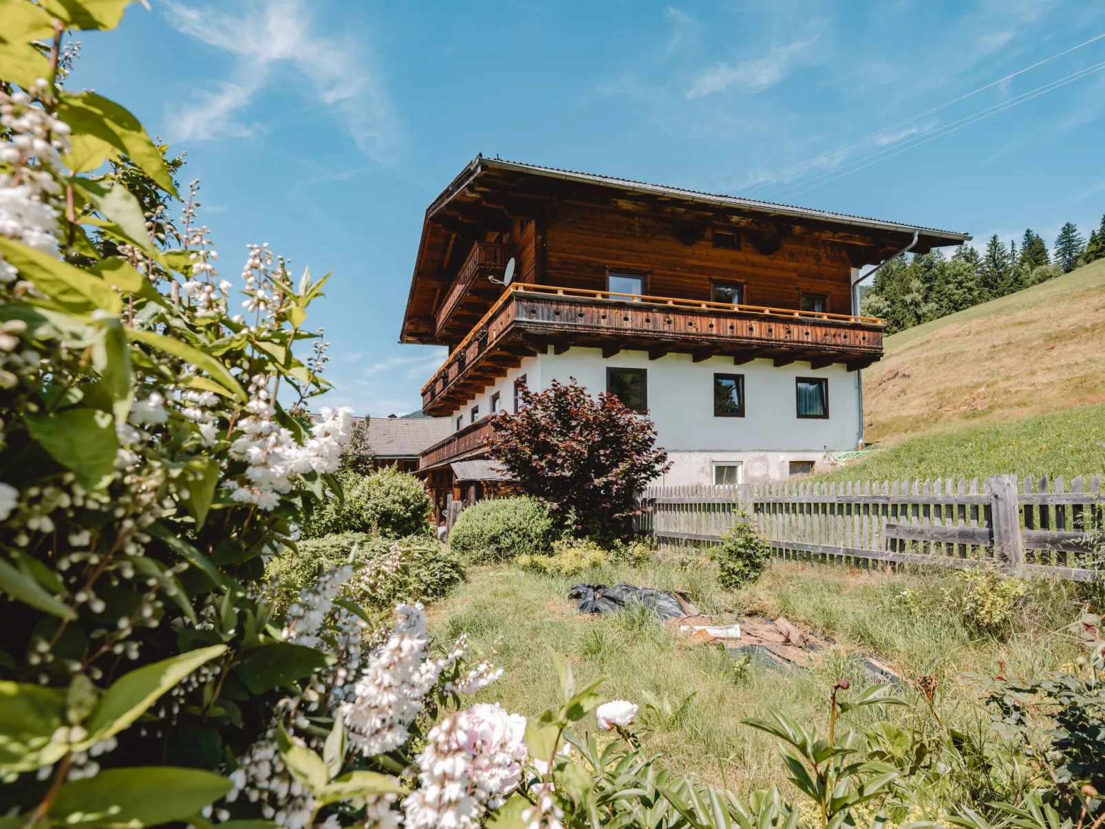 Panoramaperle