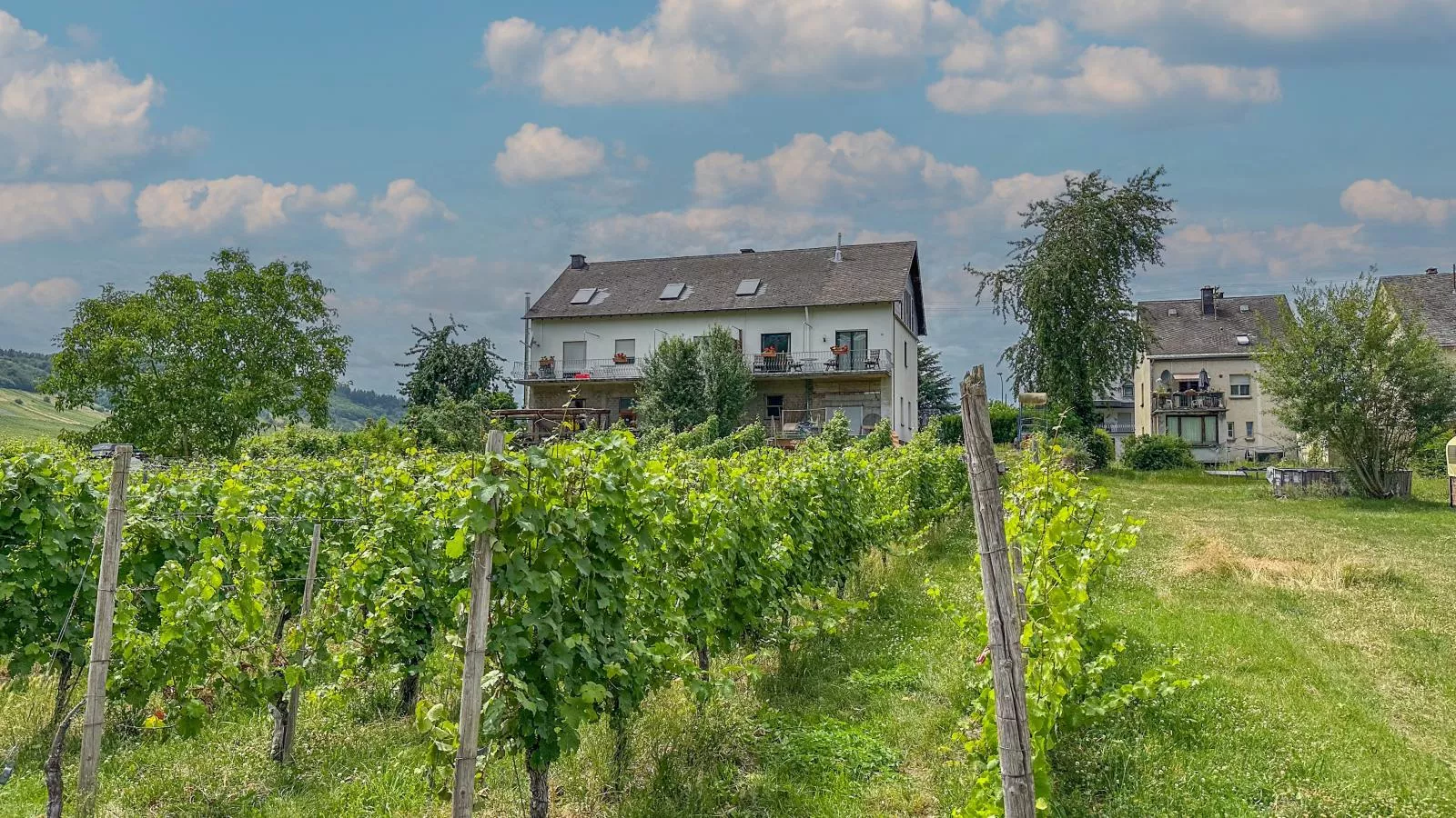 Hermes-Lex Weingut