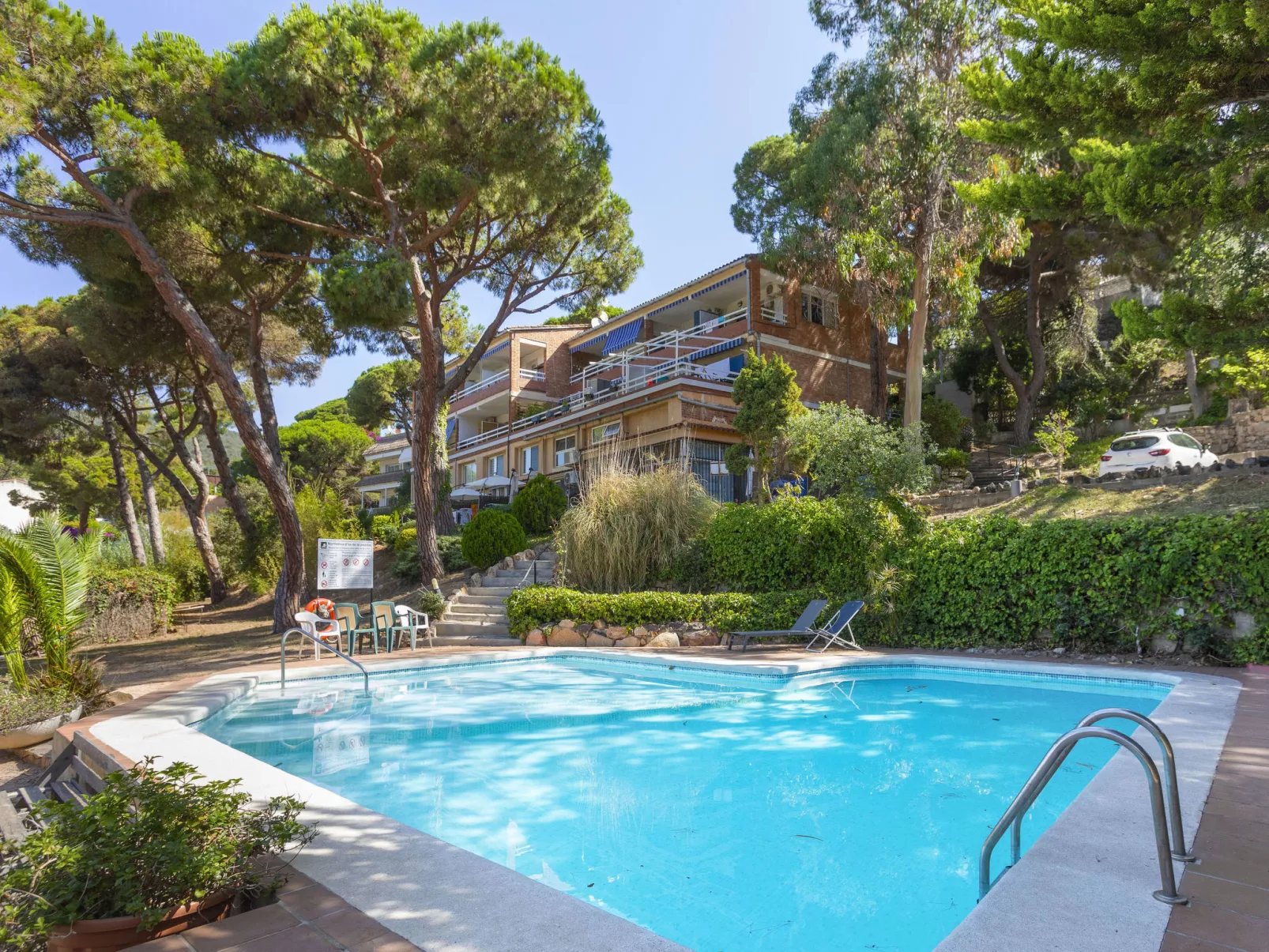 Buganvilla