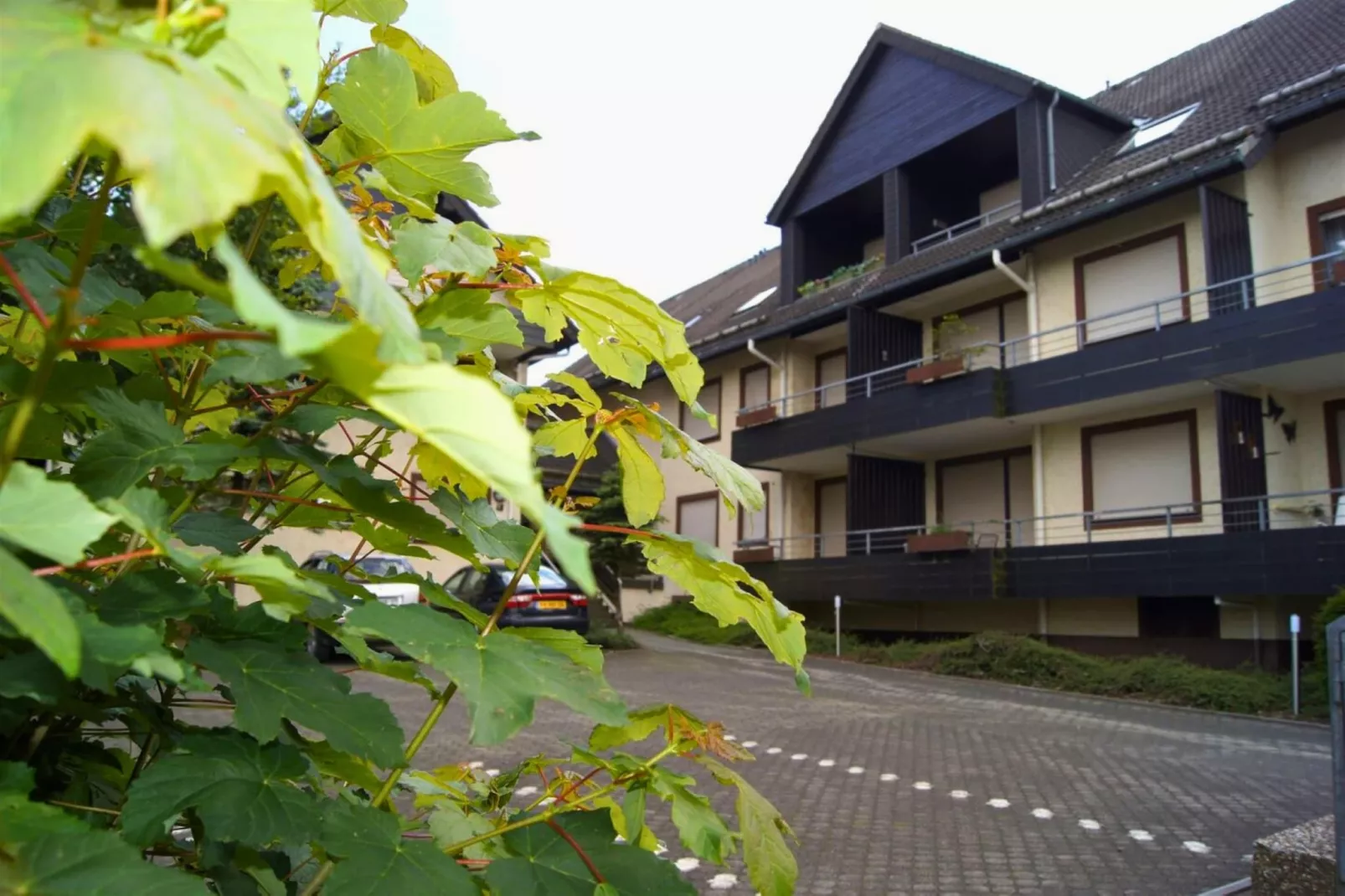 1 SZ/3P Winterberg Appartement 21077