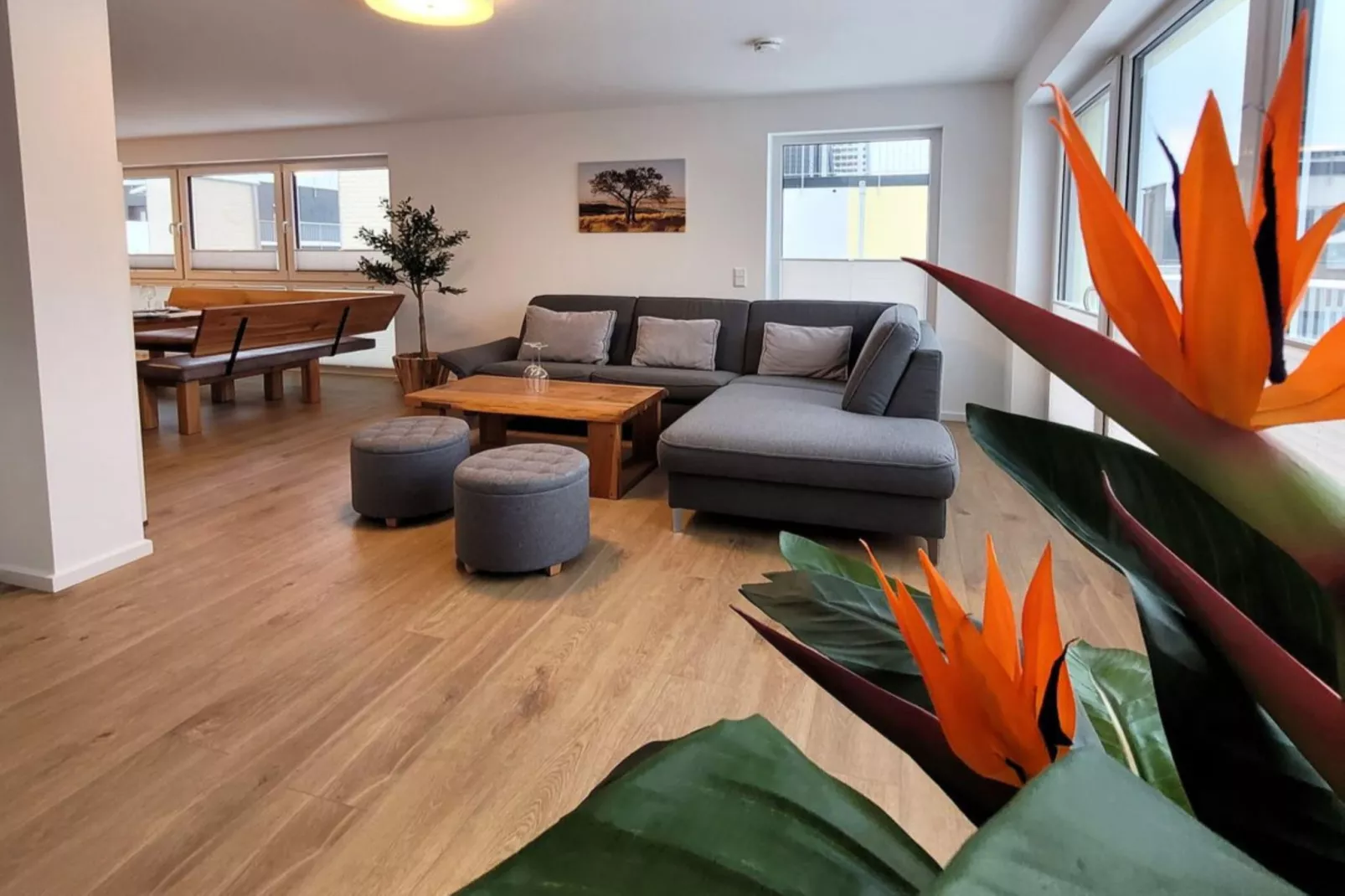 3 SZ/ 6P Winterberg Appartement 21129