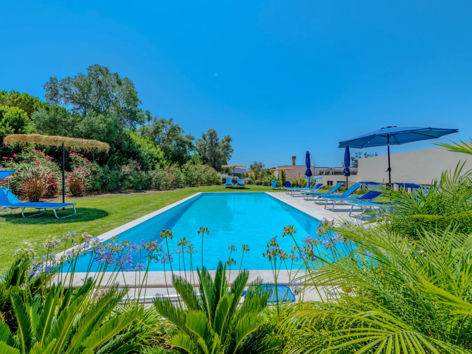 Suites Sunny Hill