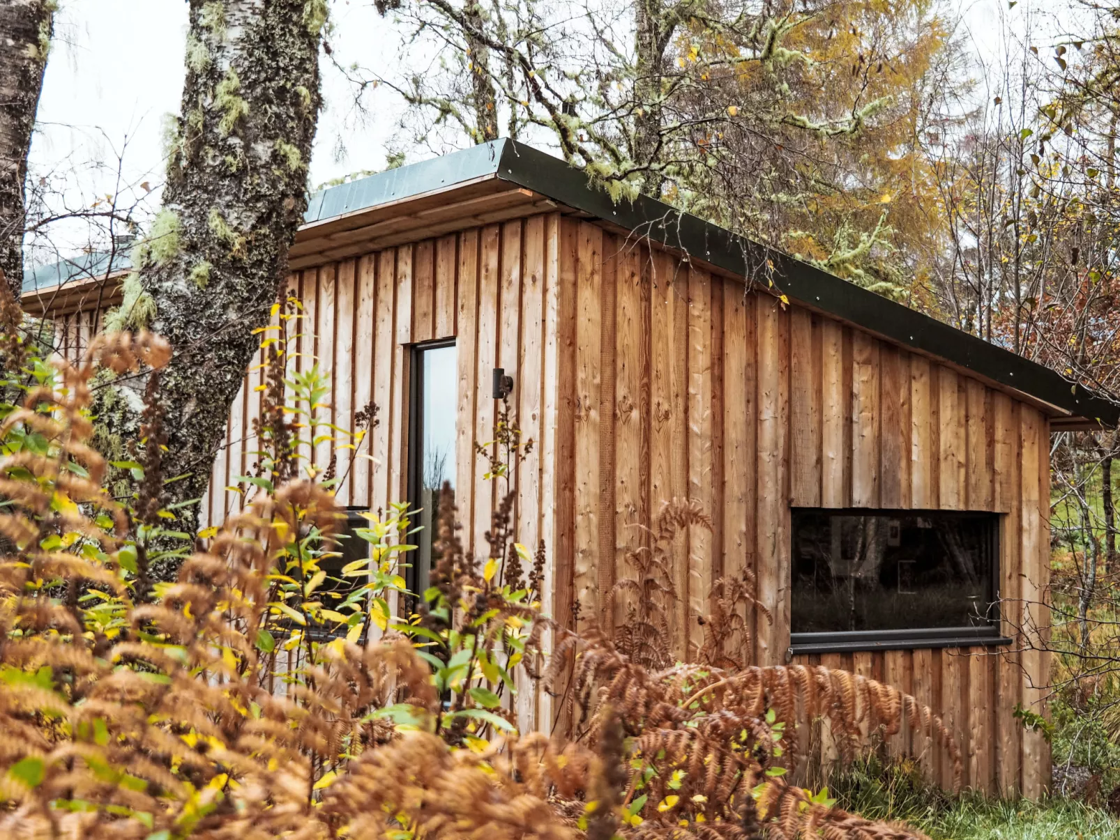G-Wilderness Cabin