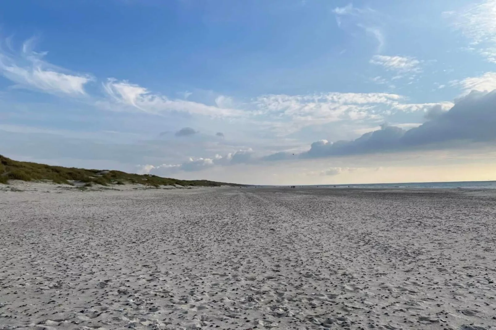 8 person holiday home in Blåvand-Untagged