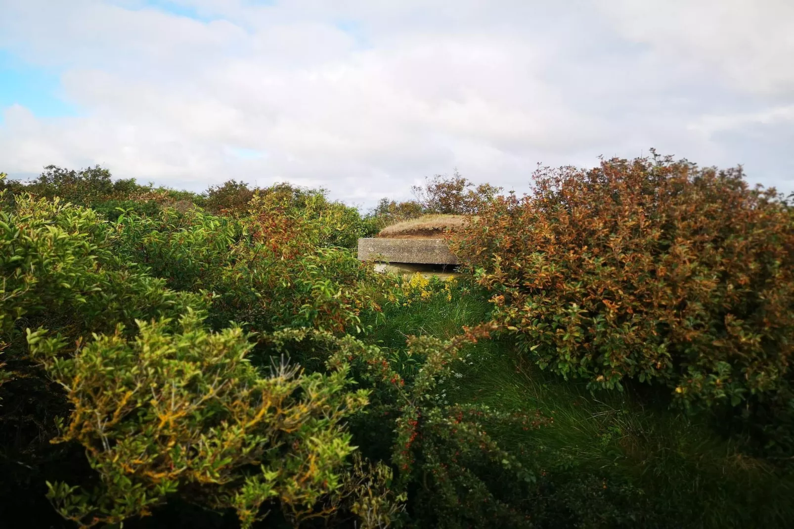 Maison de vacances pour 6 a Skjern-Non tagué