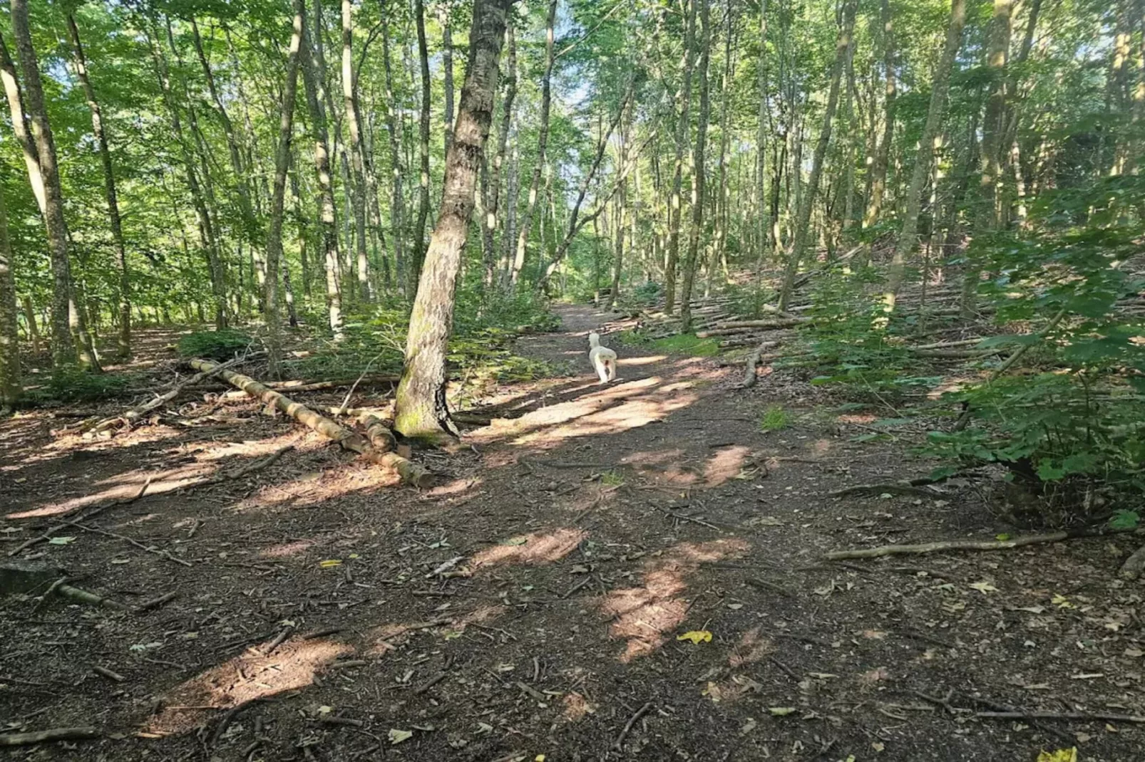 Ruhiger Seeblick-Ruckzugsort in Ry-By Traum-Nicht zugeordnet