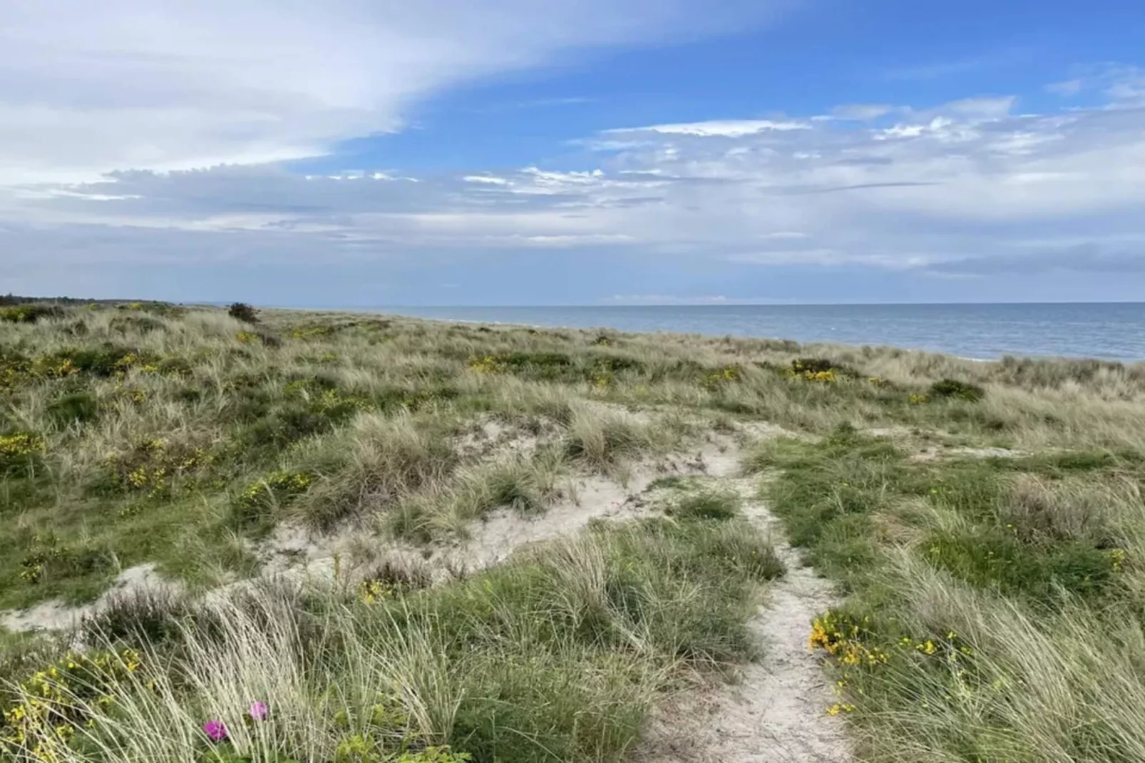 Serenite en bord de mer a Als Odde-By Traum-Non tagué