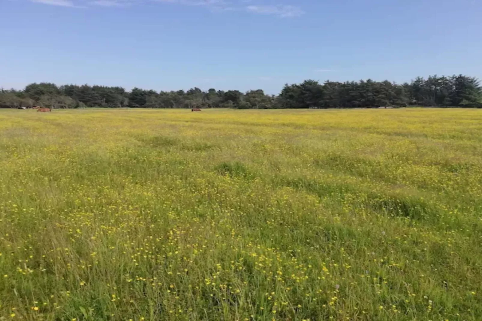 Gemutliches Refugium in Skagen City-By Traum-Nicht zugeordnet