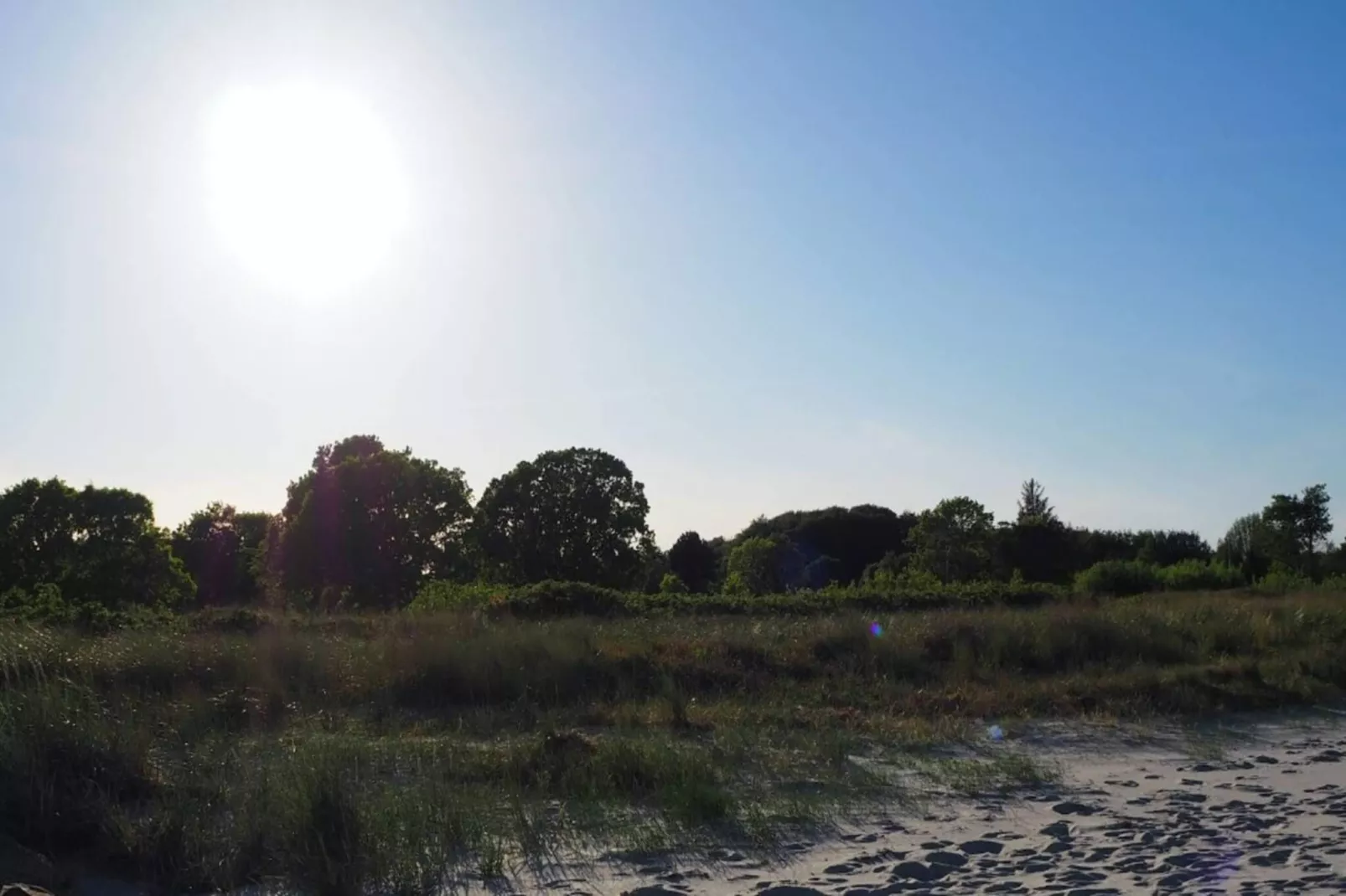 Tranquil Oasis in Blavand-By Traum-Untagged