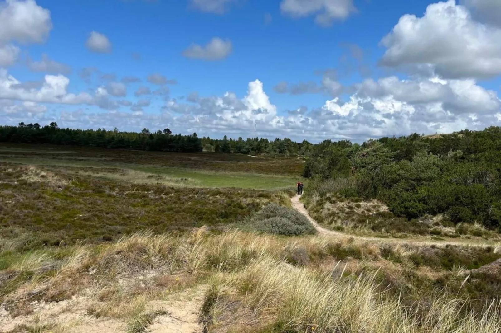 6 person holiday home in Rømø-By Traum