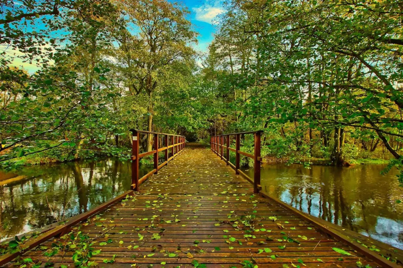 Lakeside Holiday Home with Forest-Untagged