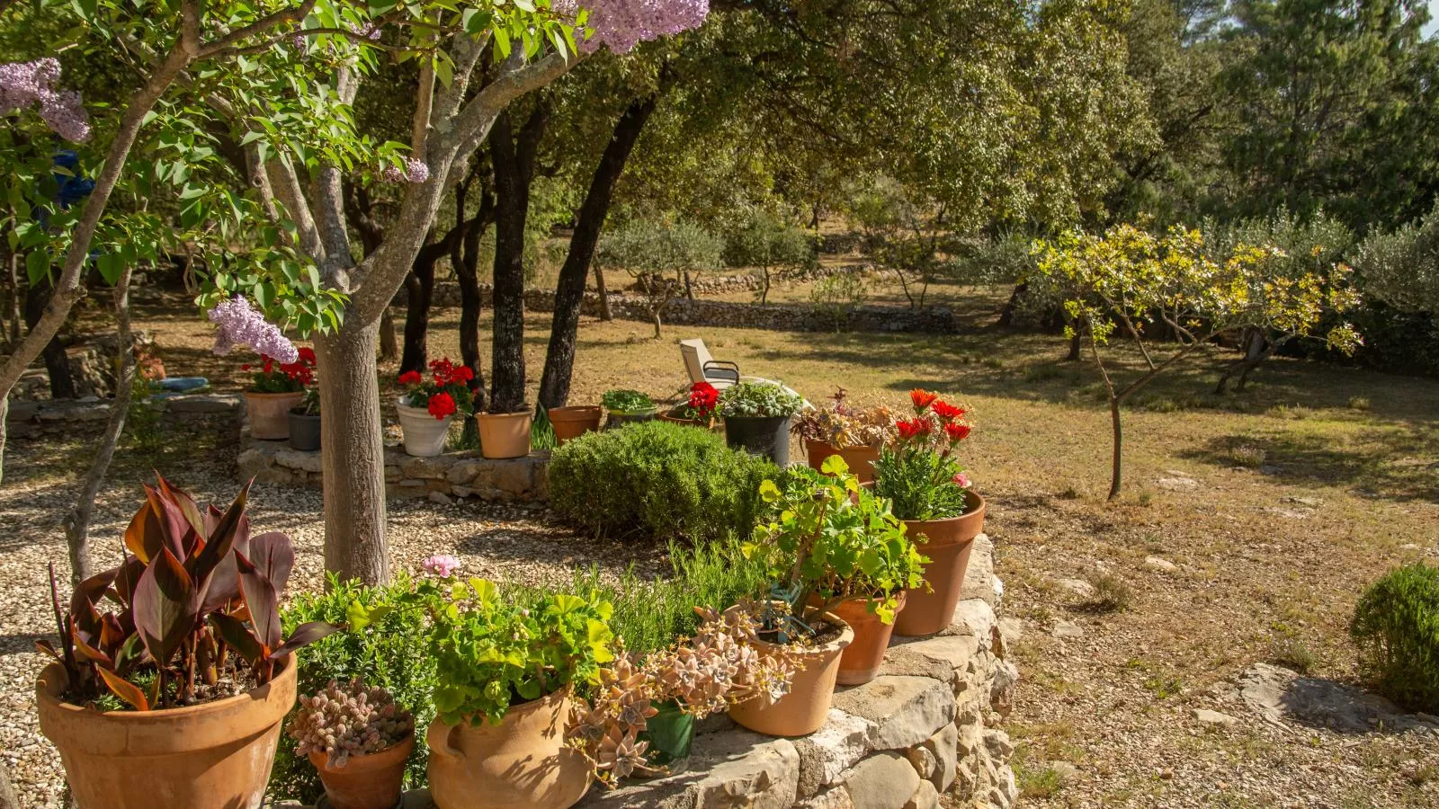 La Bergerie-Gardens in summer