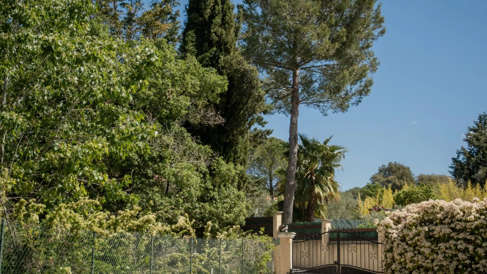 Loustalet Plus-Gardens summer