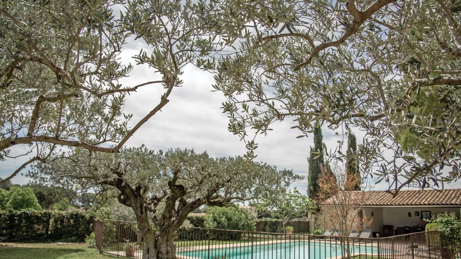 Le Mas Romarin-Gardens summer