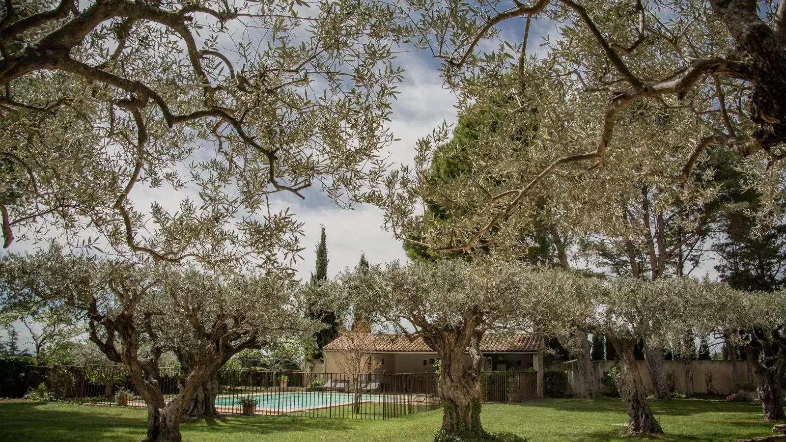 Le Mas Romarin-Gardens summer