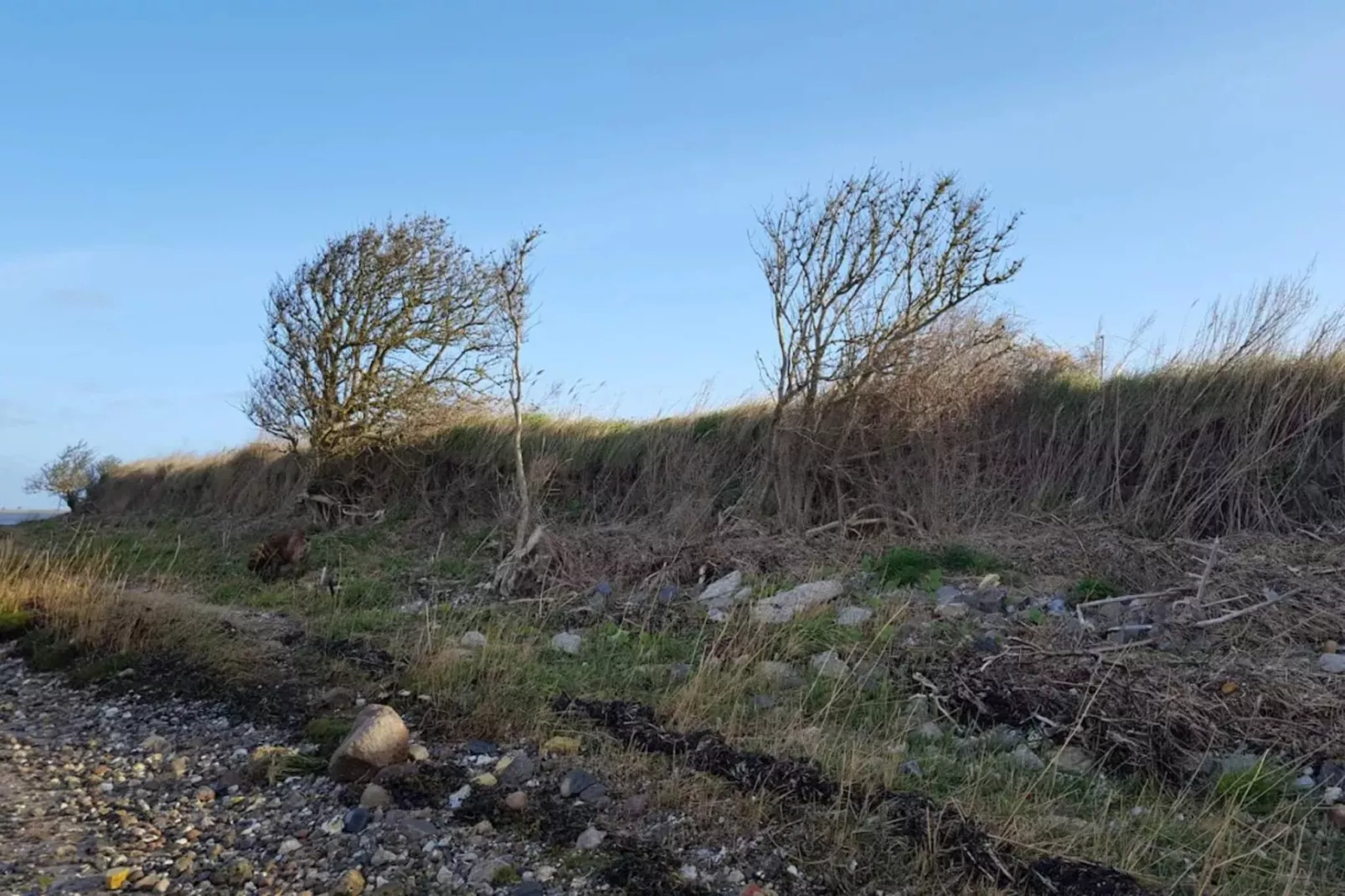 Maison de vacances pour 4 a Bogense-By Traum